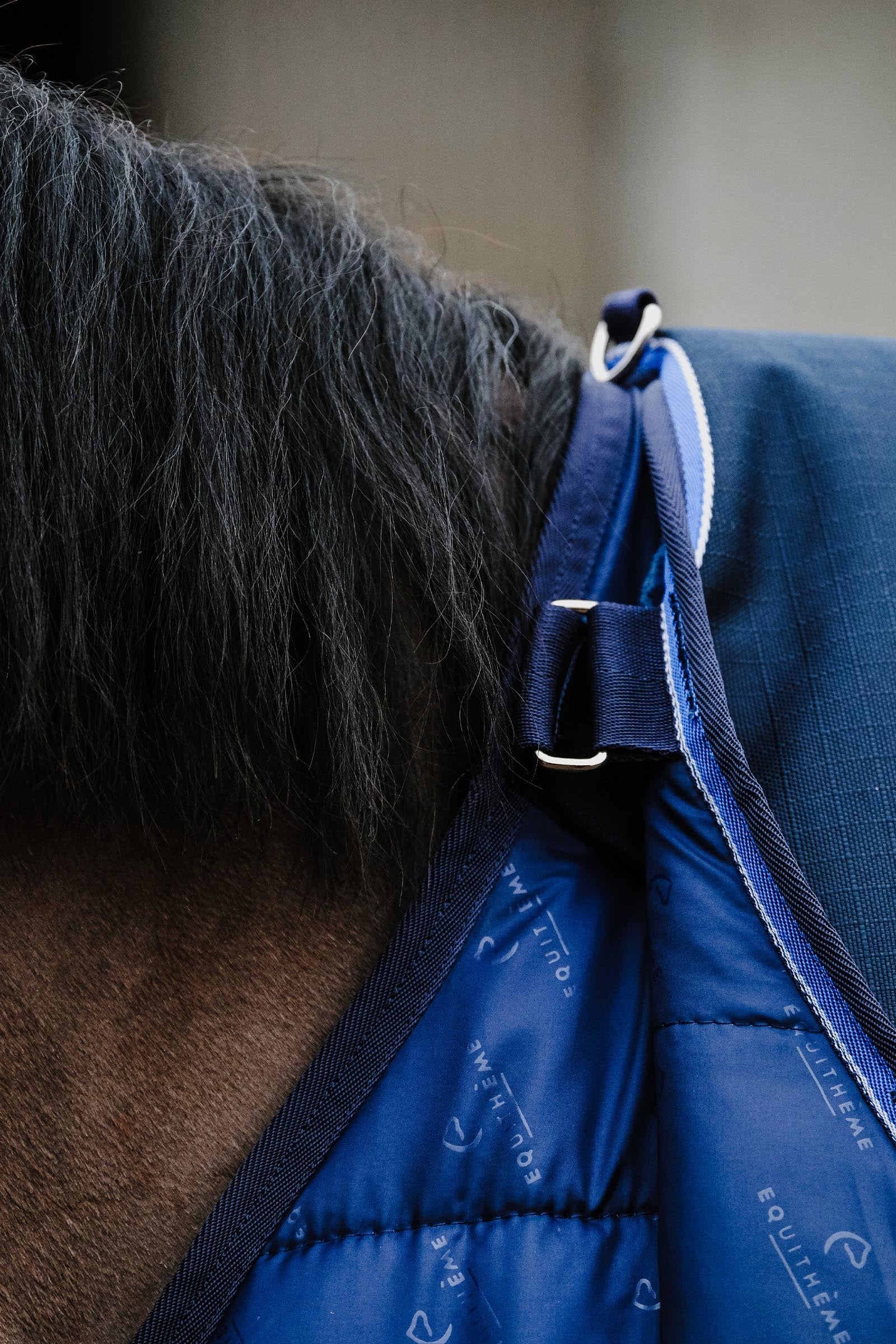 Equi Theme EQUITHÈME Classic 1200D Turnout Rug, 200 g Horse Rugs