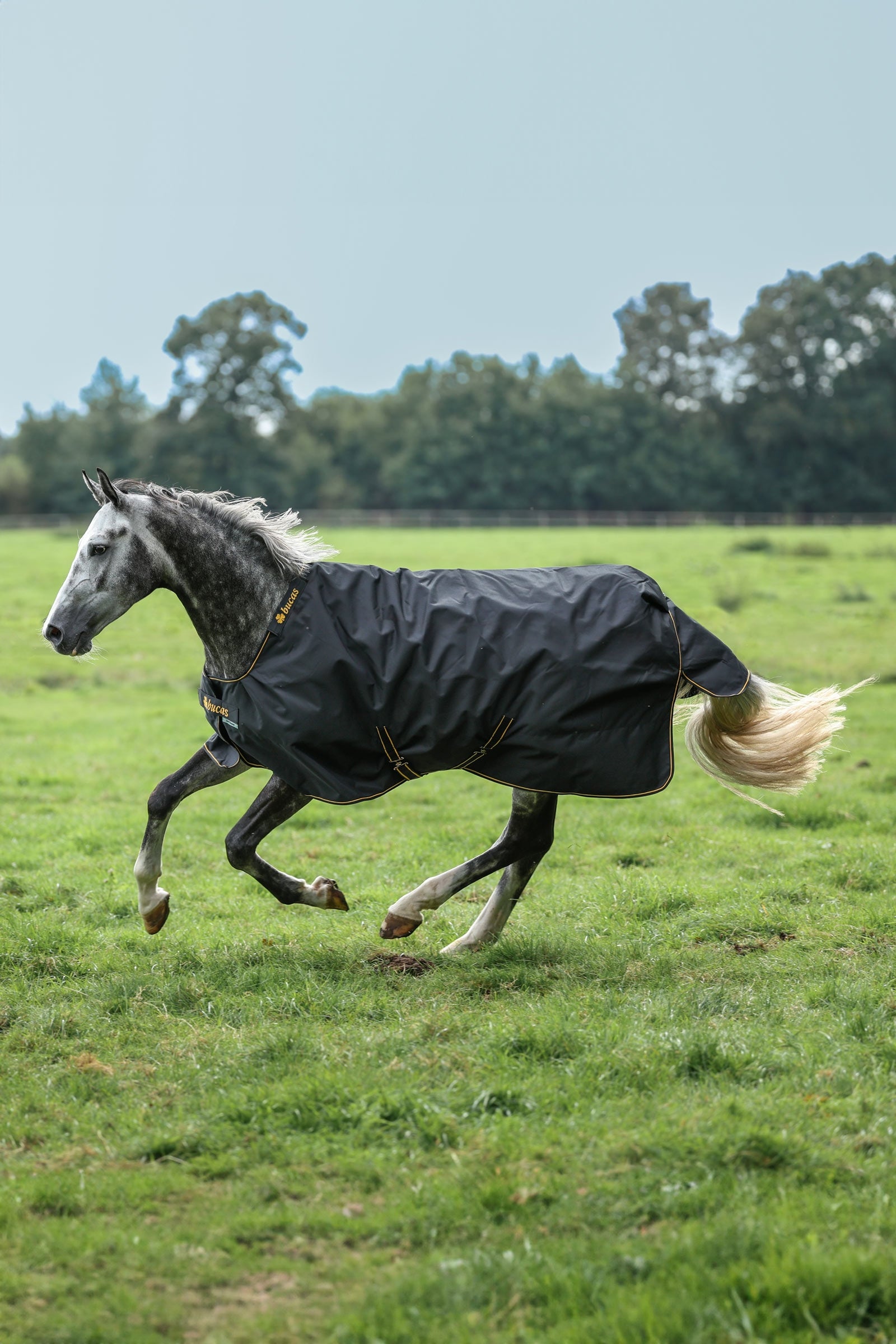 Bucas Irish derka padokowa, 150g Derki