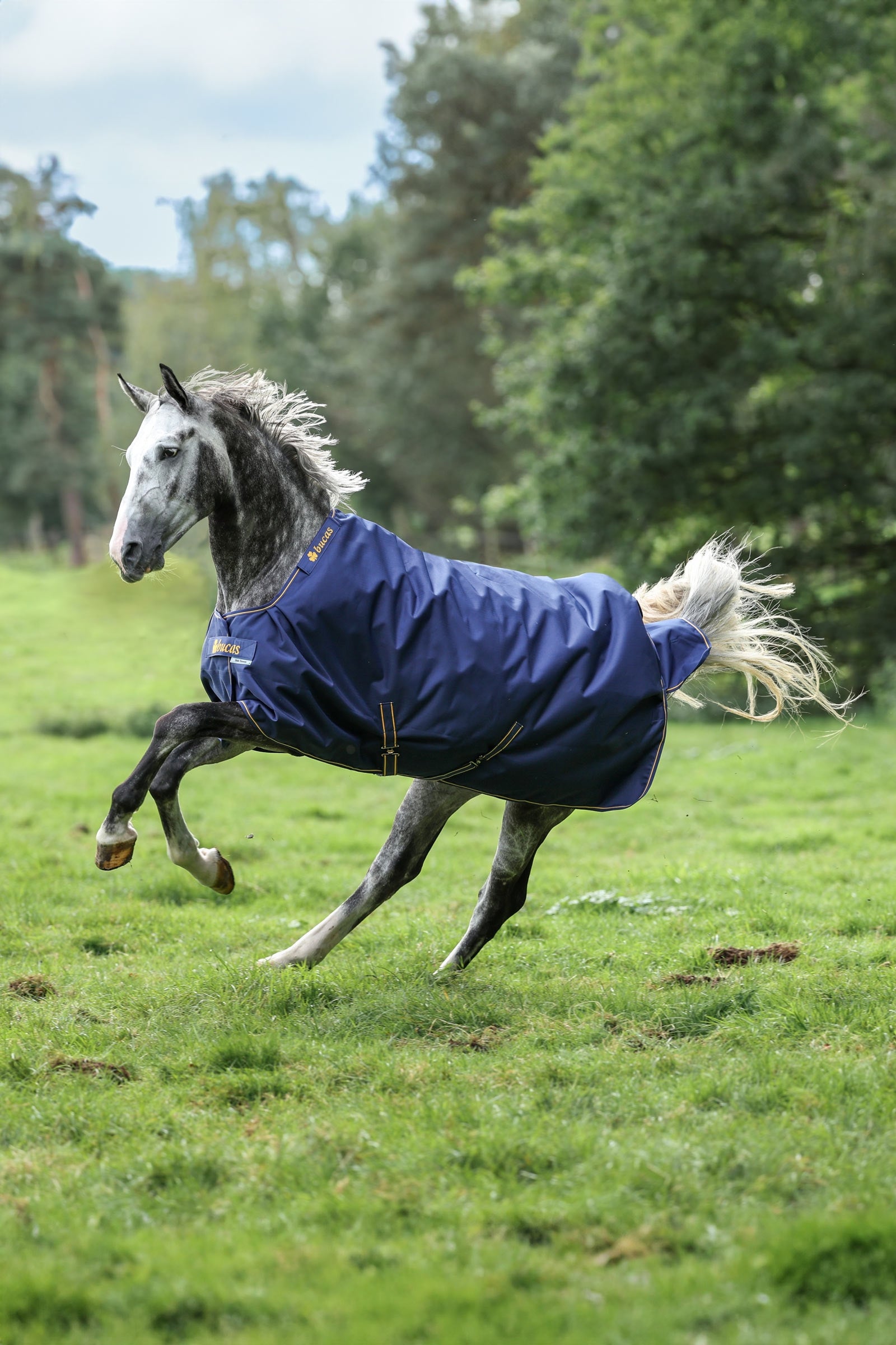 Bucas Irish derka padokowa, 150g Derki