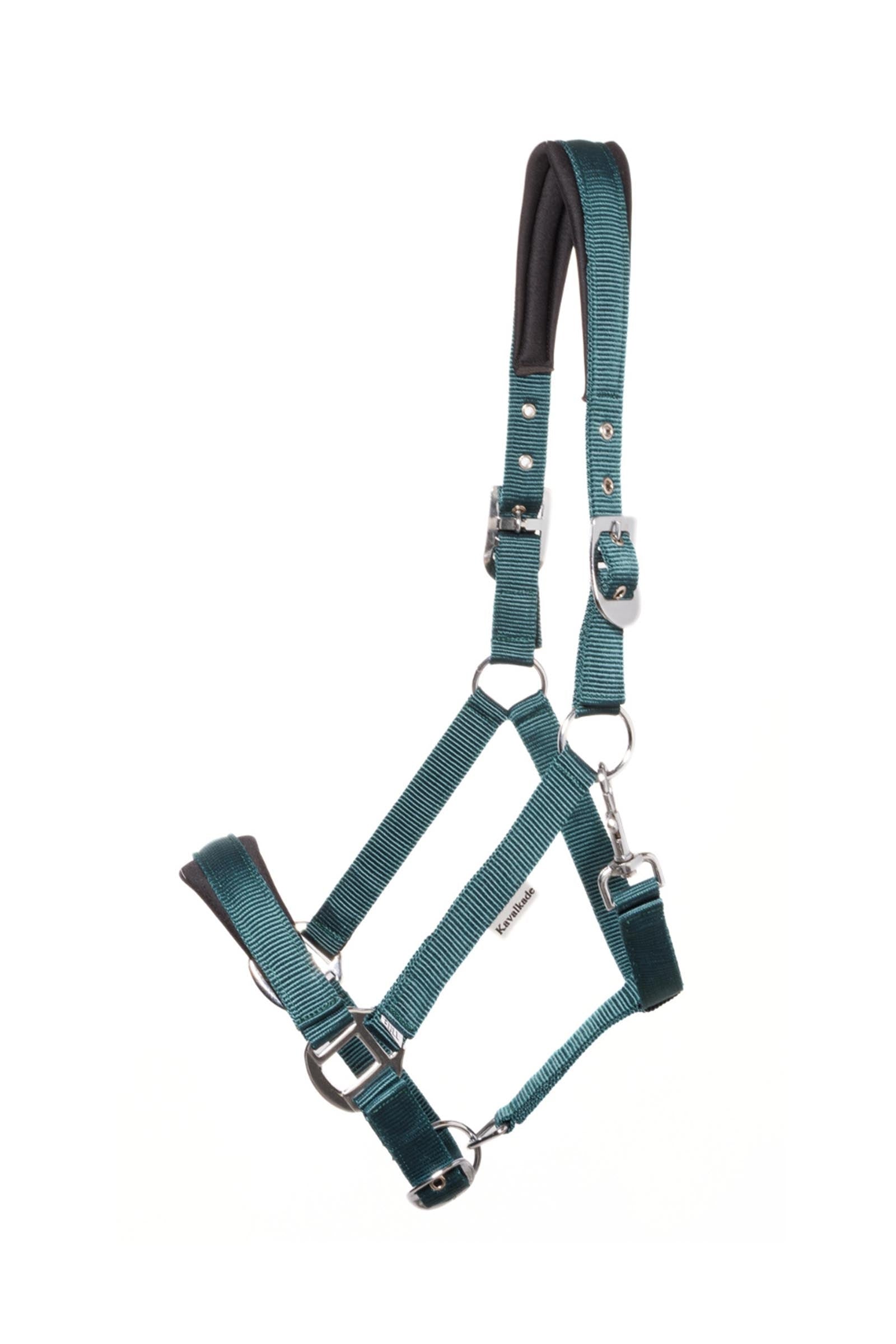 Kavalkade Classic Simple Halter Draft Horse Halters & Leads