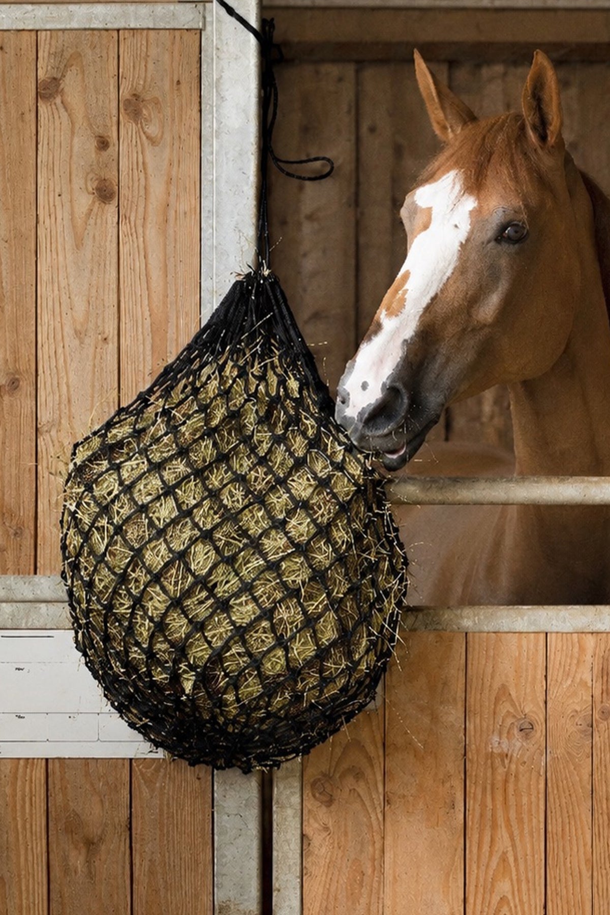 HIPPOTONIC Large Mesh Hay Net (104 cm) Horse Feeders & Waterers
