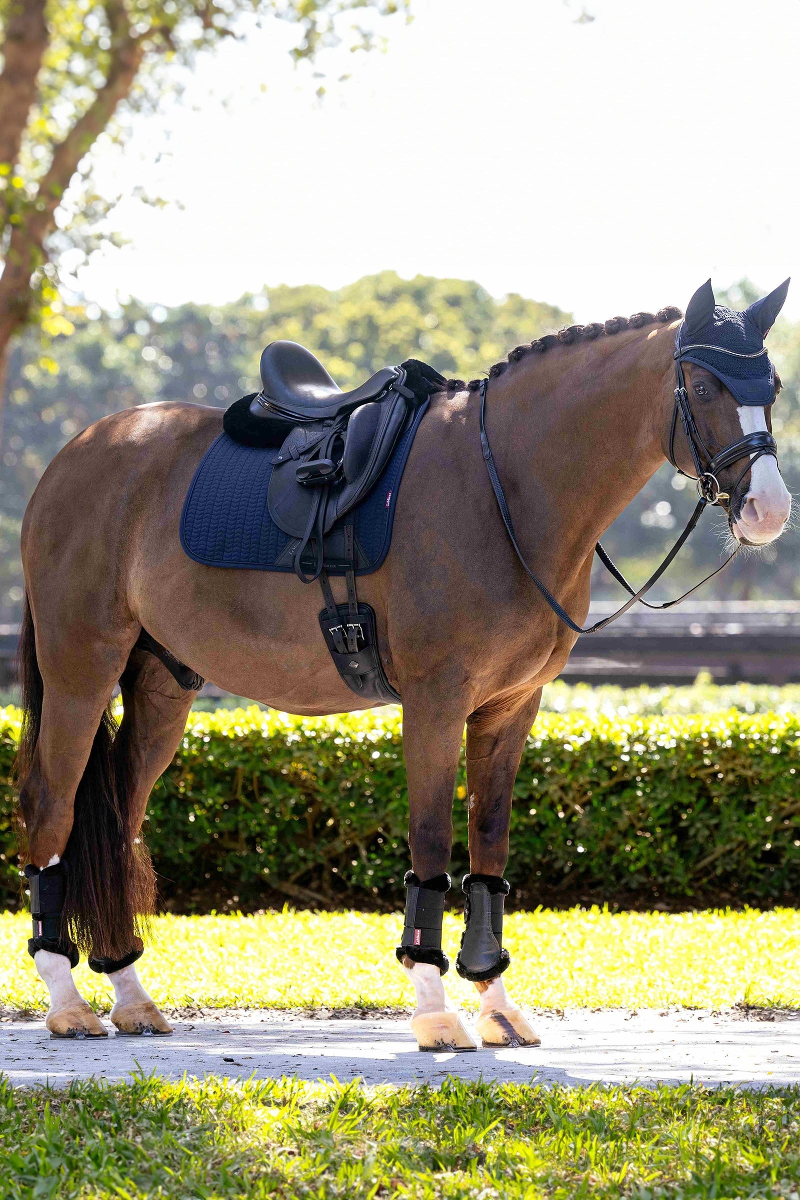 LeMieux Essence Dressage Saddle Pad Saddle Pads