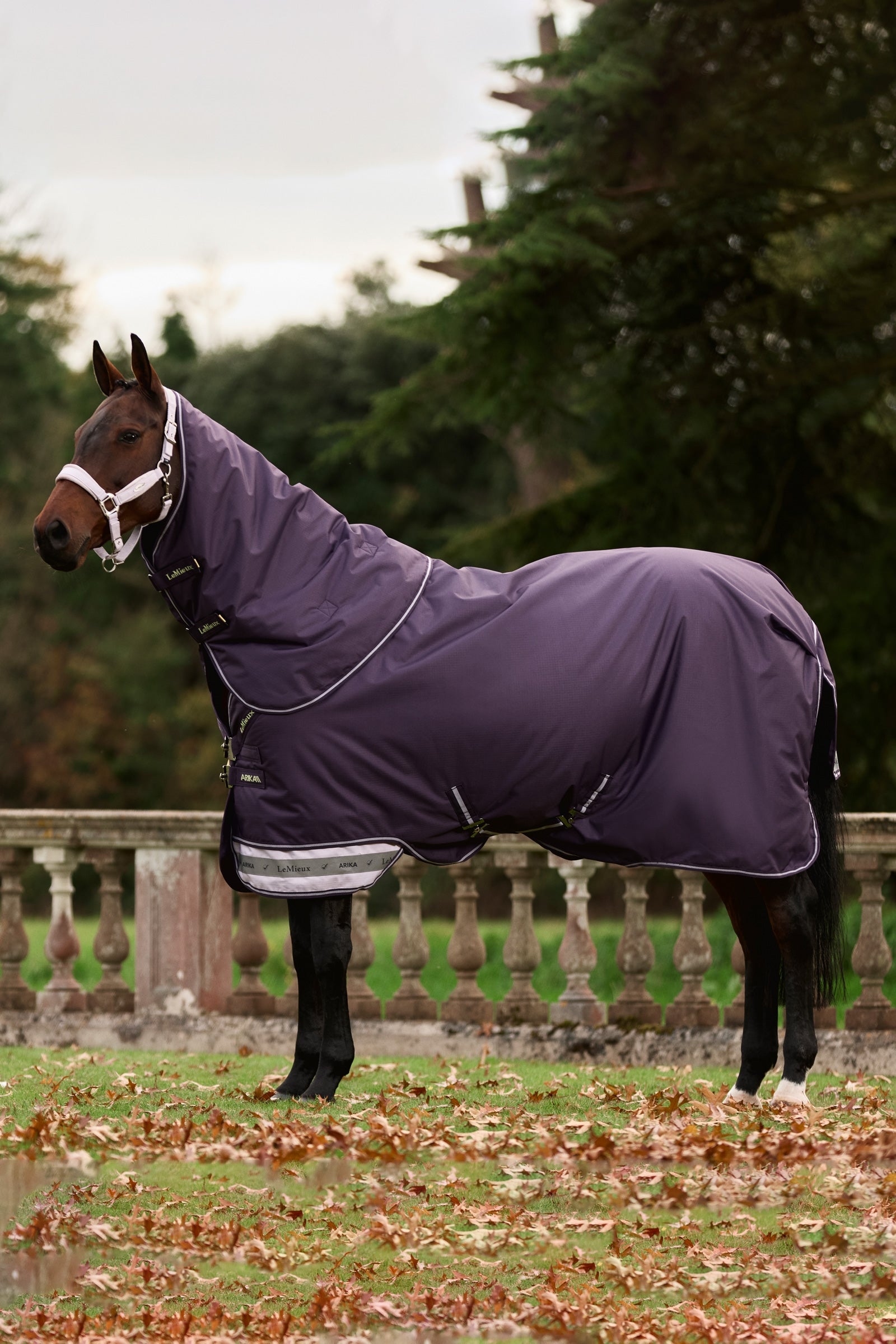 LeMieux Arika Ripstop Turnout Rug With Detachable Neck, 0 g Derki