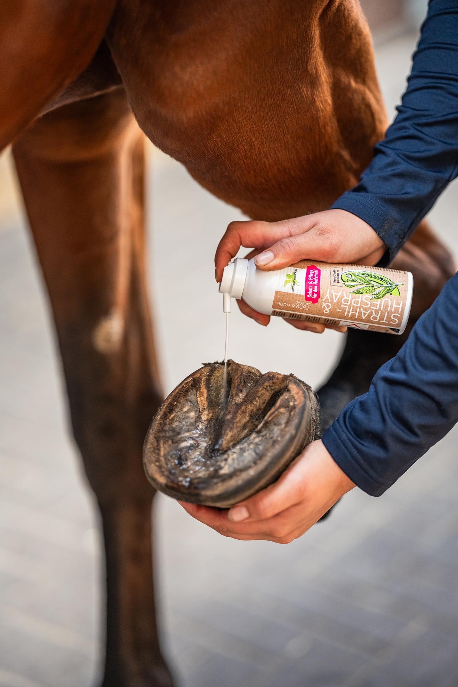 Bense & Eicke Frog & Hoof Spray, 200 ml Horse Health Care