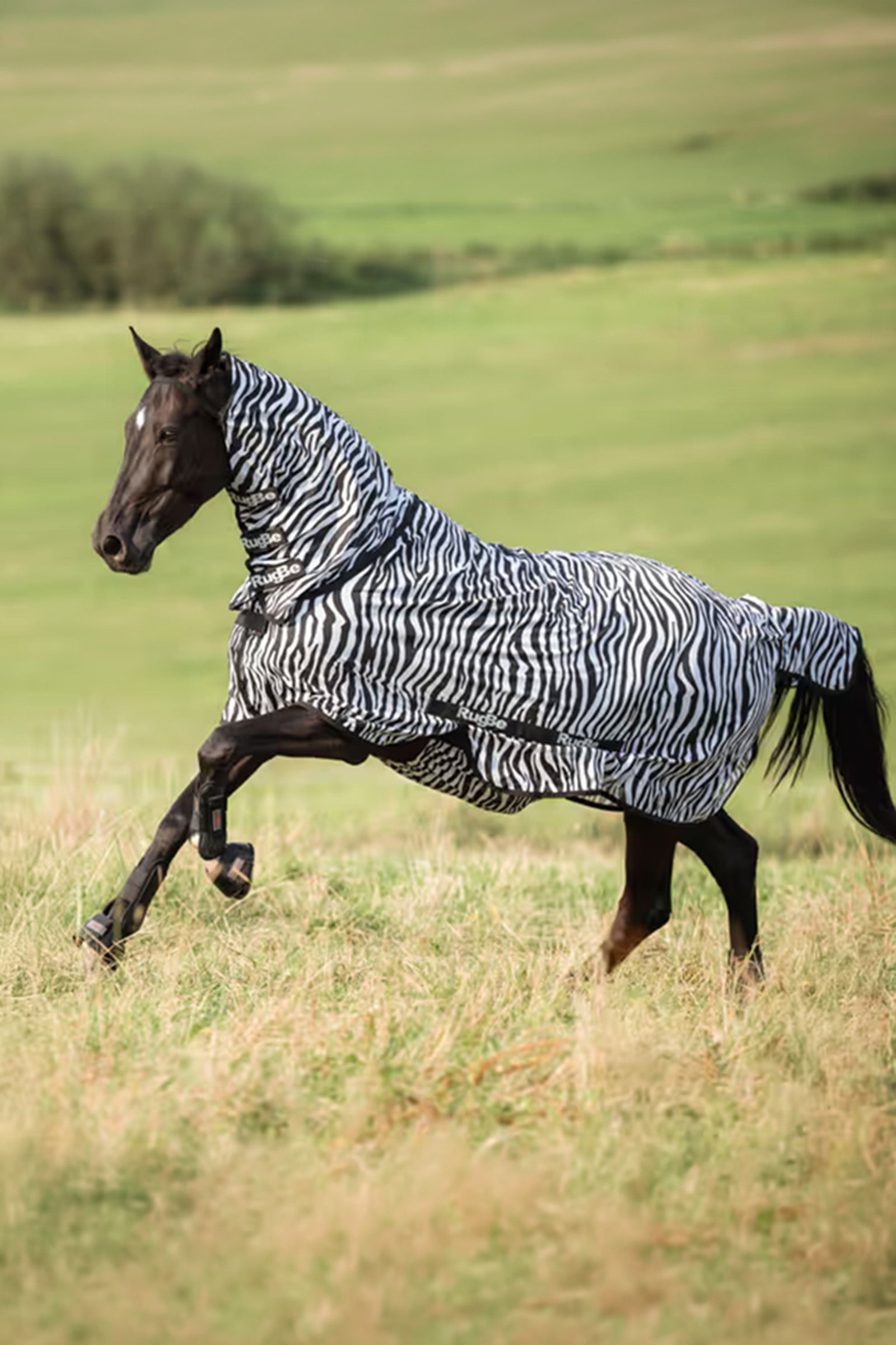 Covalliero RugBe Zebra Fly Sheet With Tail Flap Horse Rugs