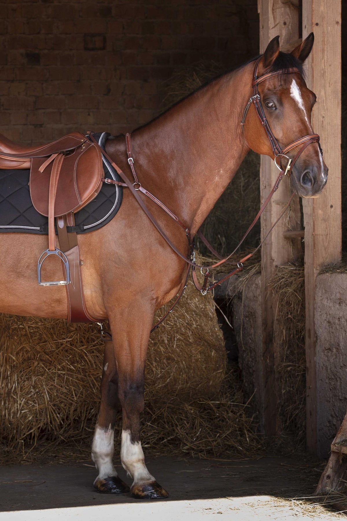 ERIC THOMAS FITTER Stirrup Leathers Saddles, Girths & Stirrups