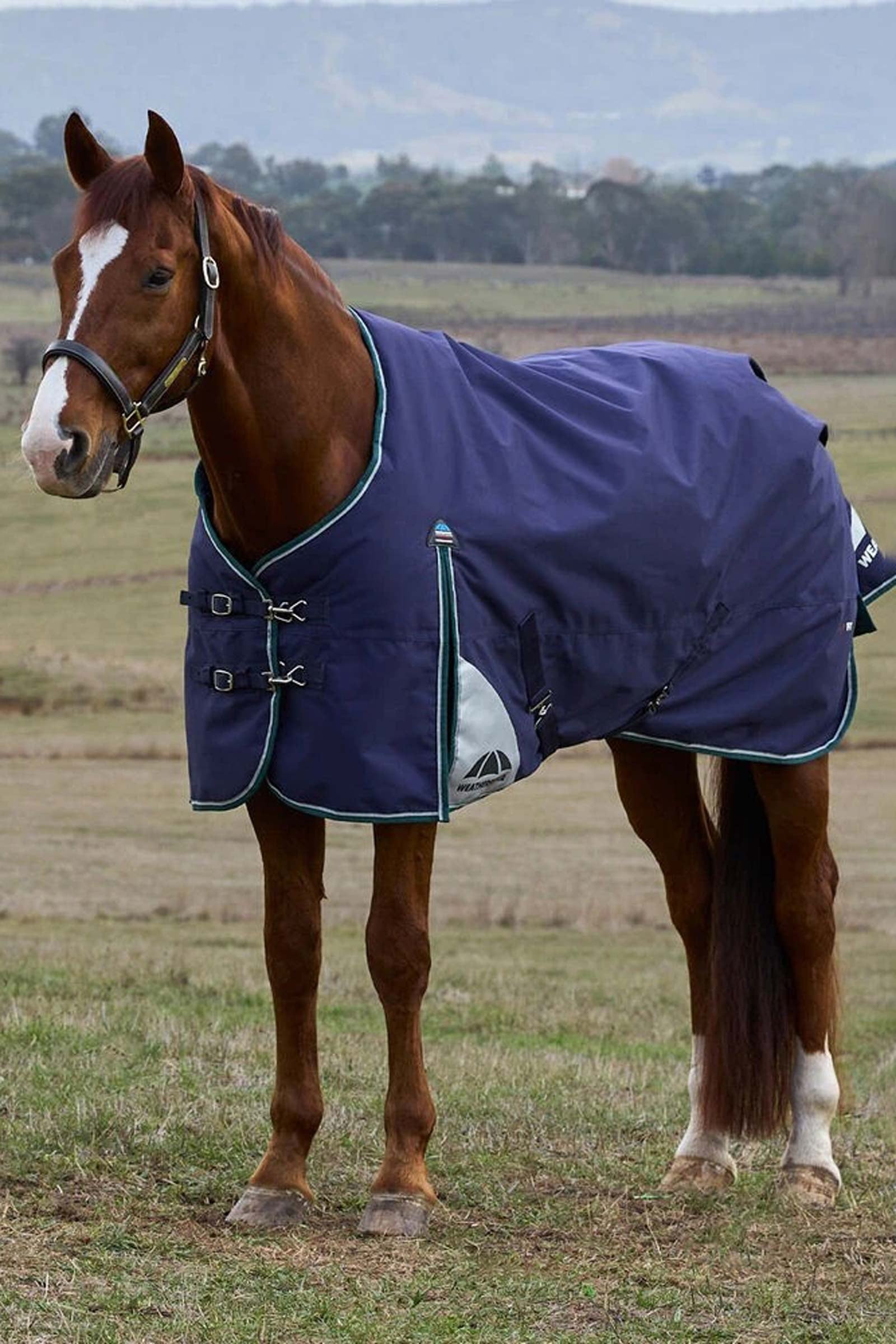 Weatherbeeta ComFiTecPlus Dynamic Turnout Standard Neck 0G Horse Rugs