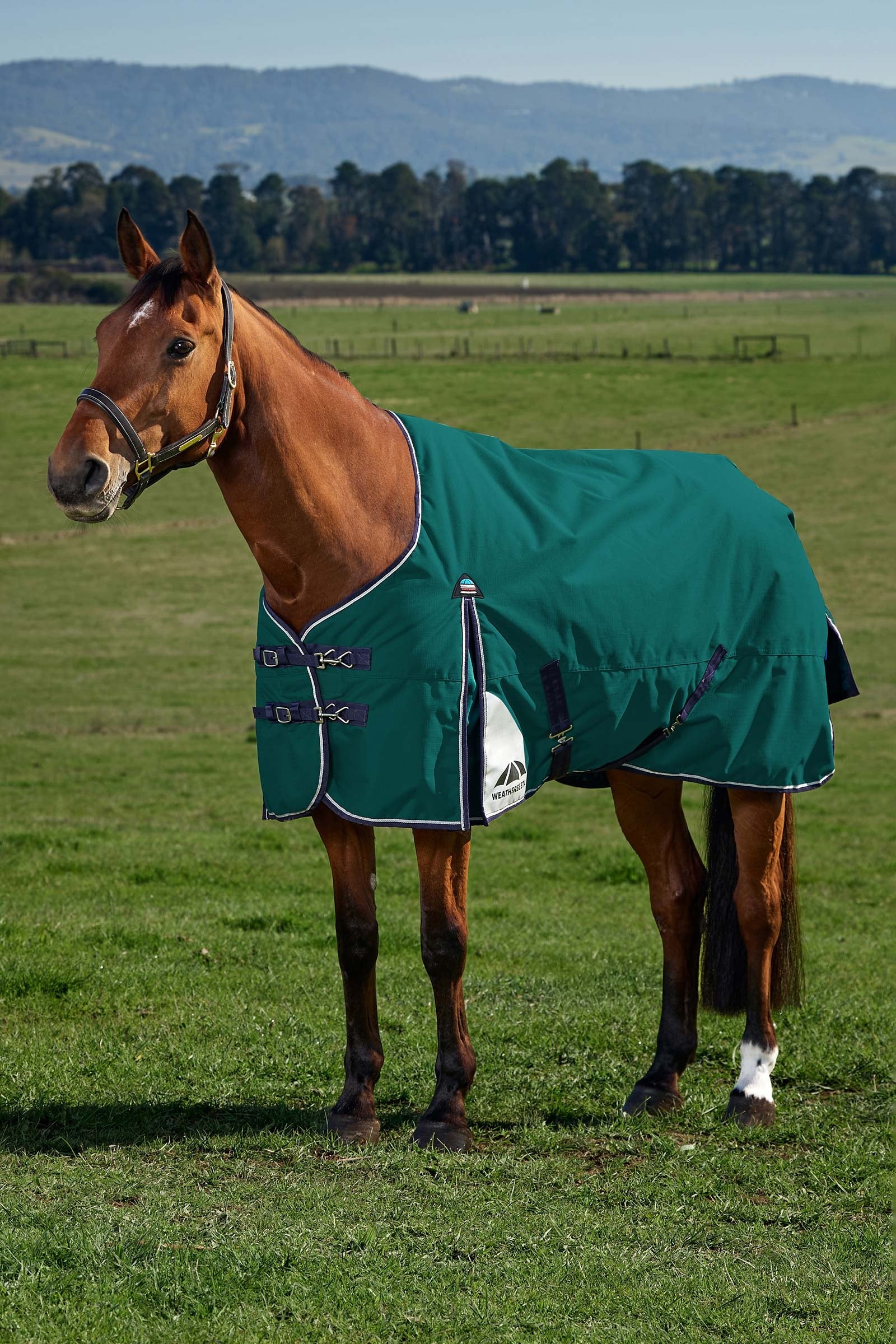 Weatherbeeta ComFiTecPlus Dynamic Turnout Standard Neck 0G Derki