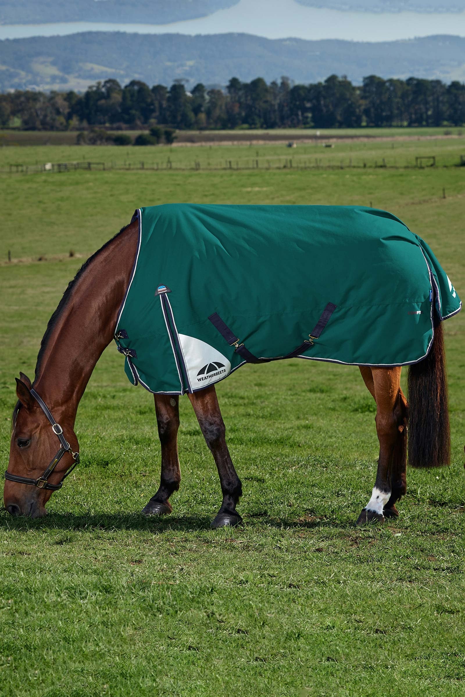 Weatherbeeta ComFiTecPlus Dynamic Turnout Rug, 0 g Horse Rugs