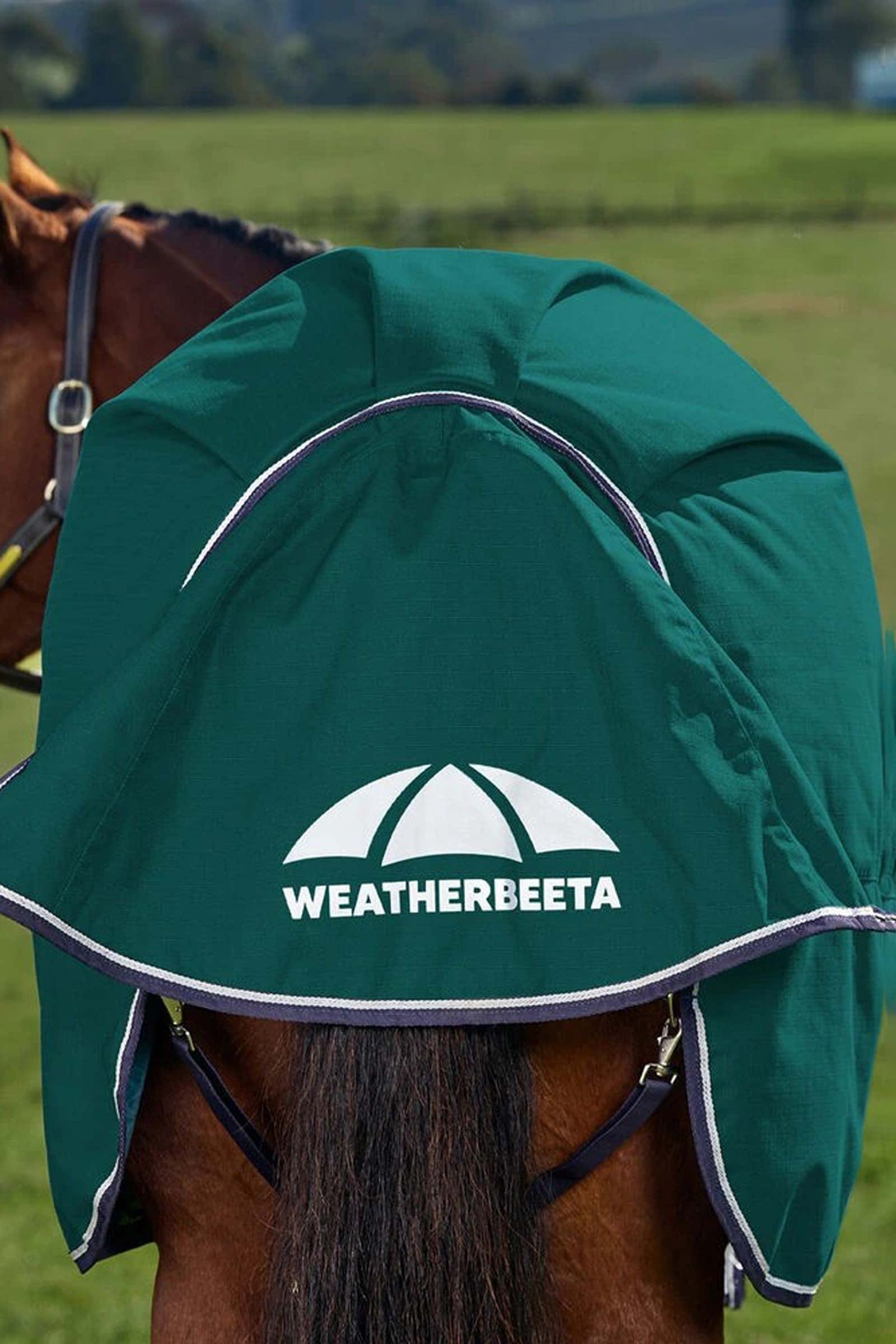 Weatherbeeta ComFiTecPlus Dynamic Turnout Rug, 0 g Horse Rugs