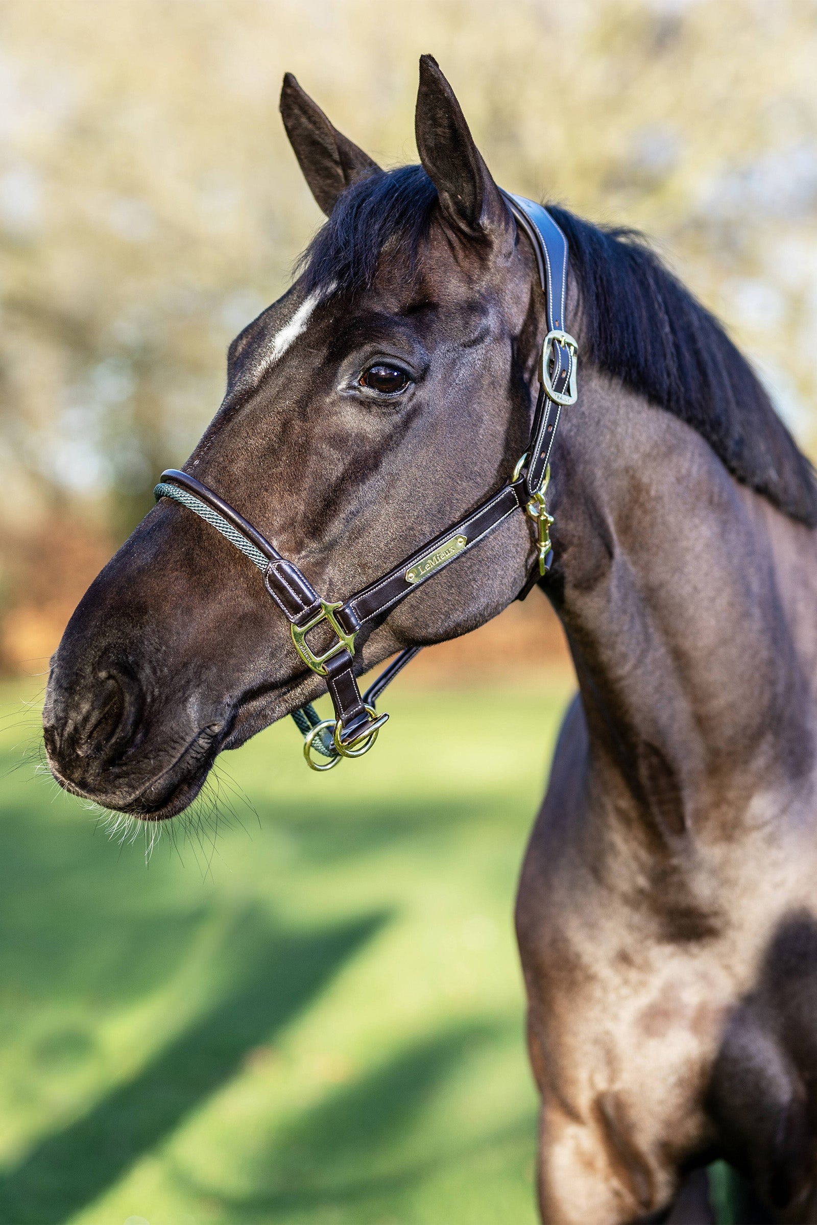 LeMieux Rope Control Headcollar Halters & Leads