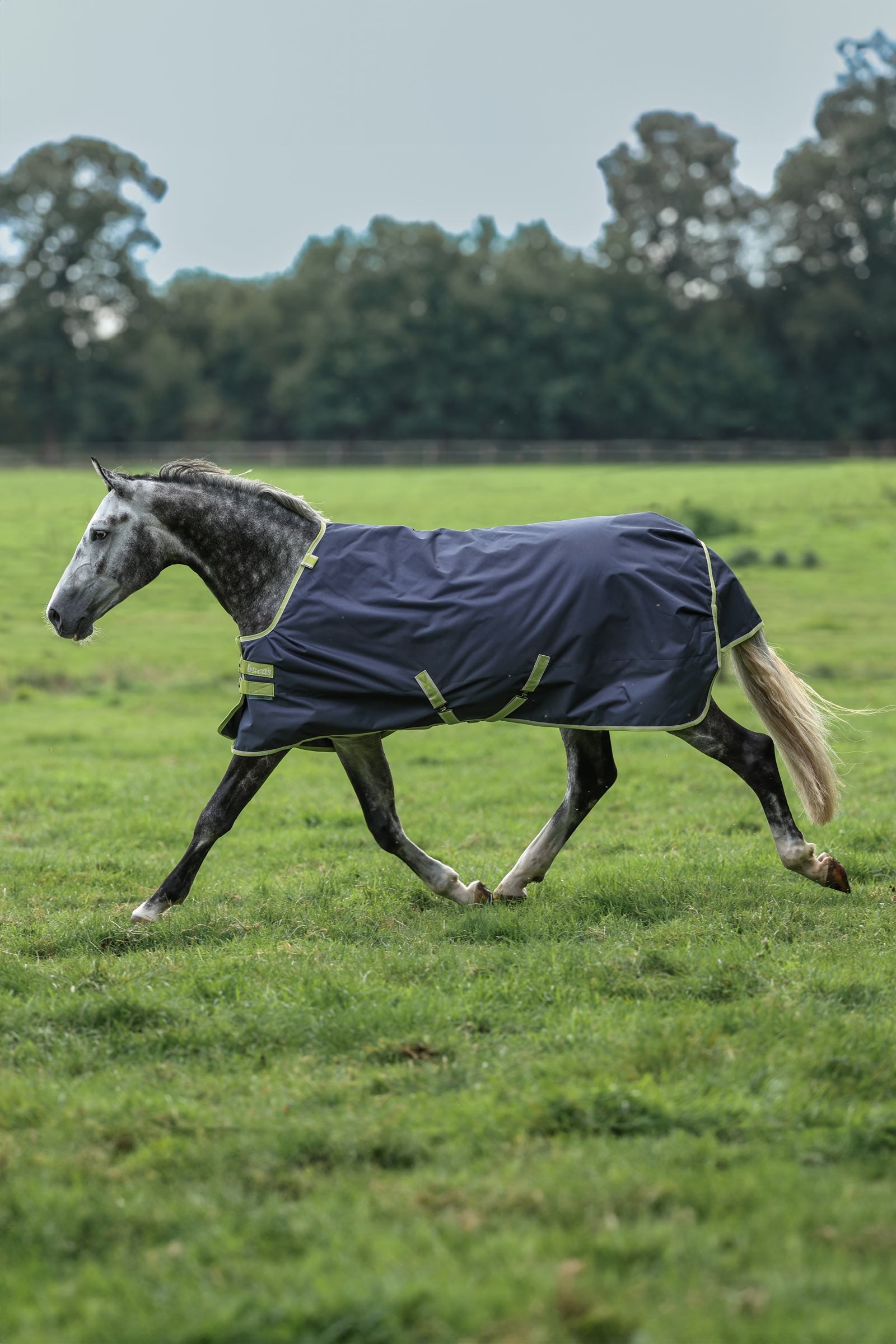 Bucas Oasis Turnout + Neck Set, 100g Horse Rugs