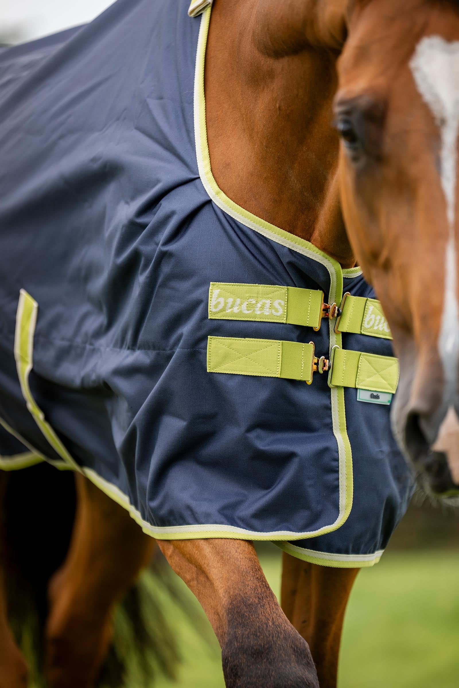 Bucas Oasis Turnout + Neck Set, 100g Horse Rugs