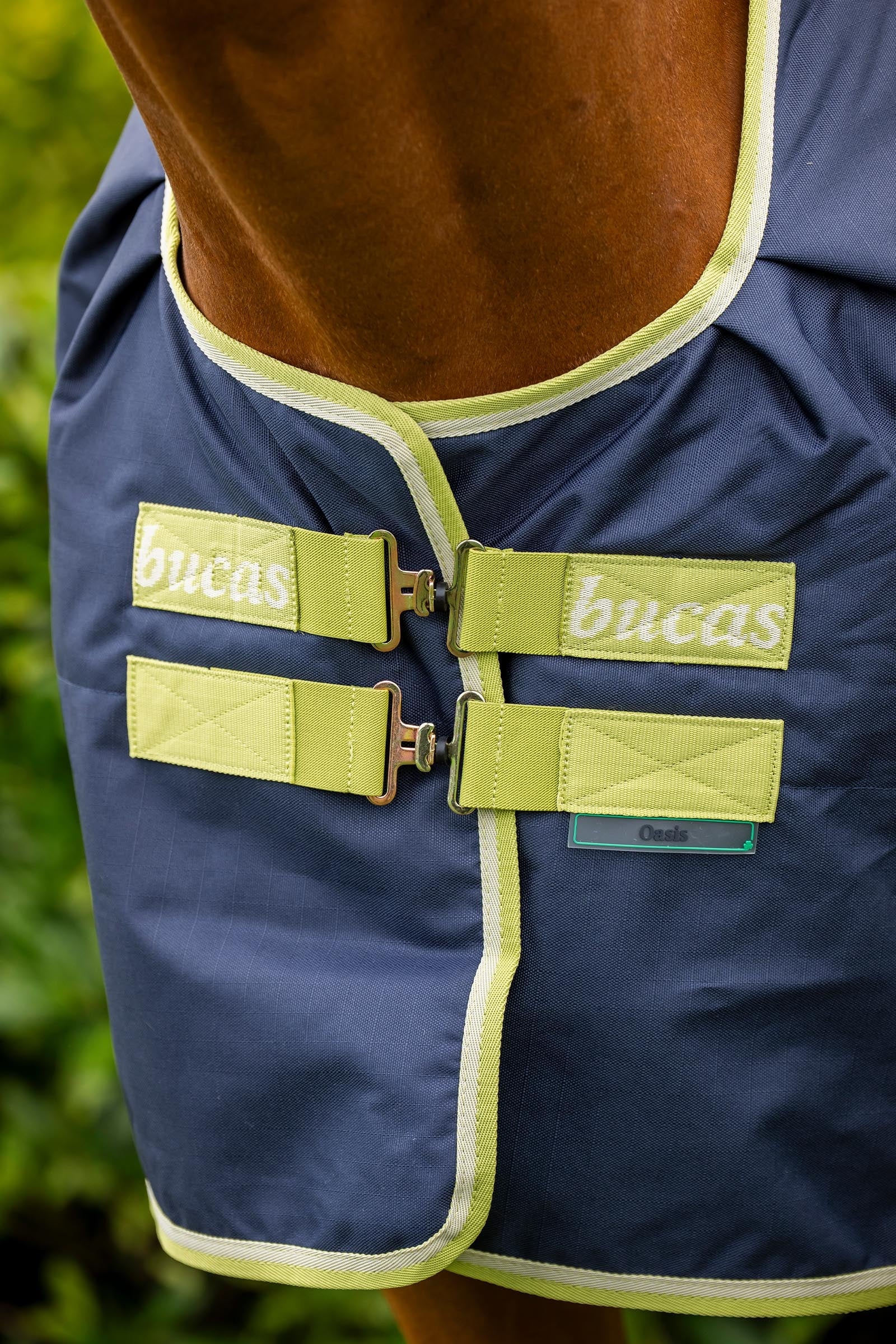 Bucas Oasis Turnout + Neck Set, 100g Horse Rugs