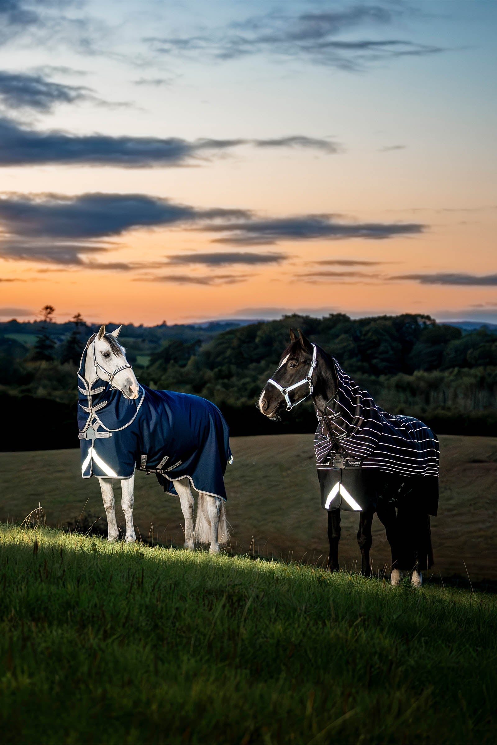 Horseware Amigo 1200D FieldSafe Plus Turnout Rug, 100 g Horse Rugs