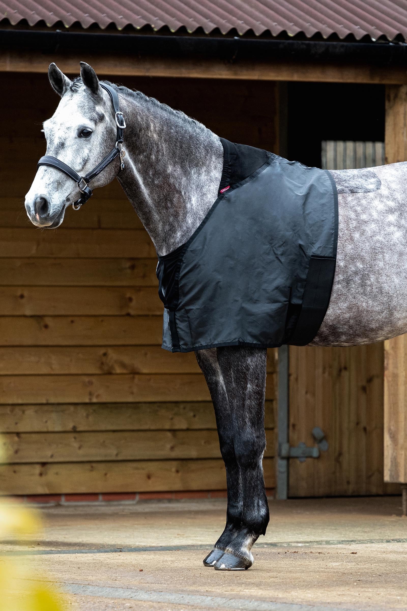 LeMieux Anti Rub Bib Horse Rugs