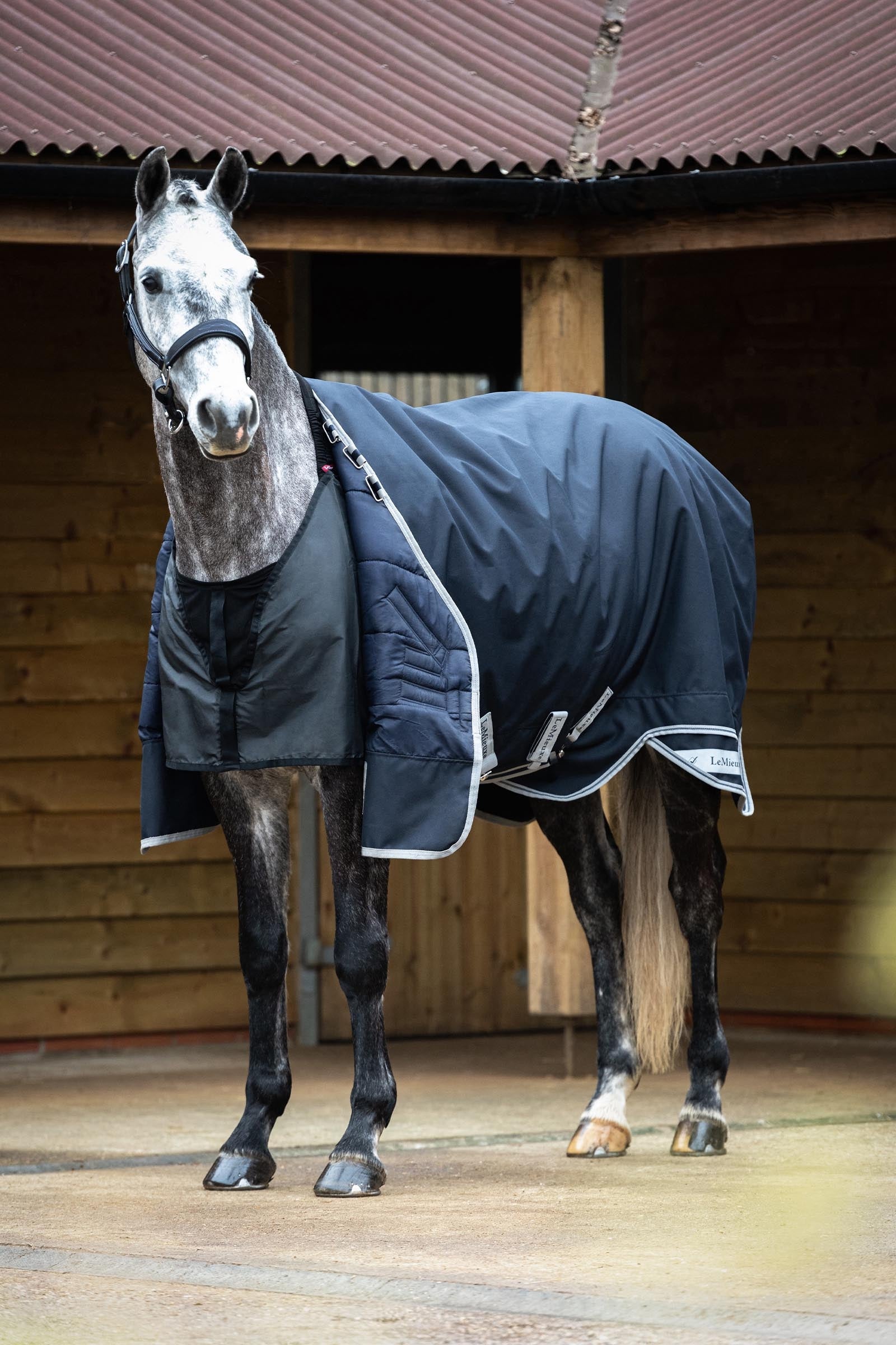 LeMieux Anti Rub Bib Horse Rugs
