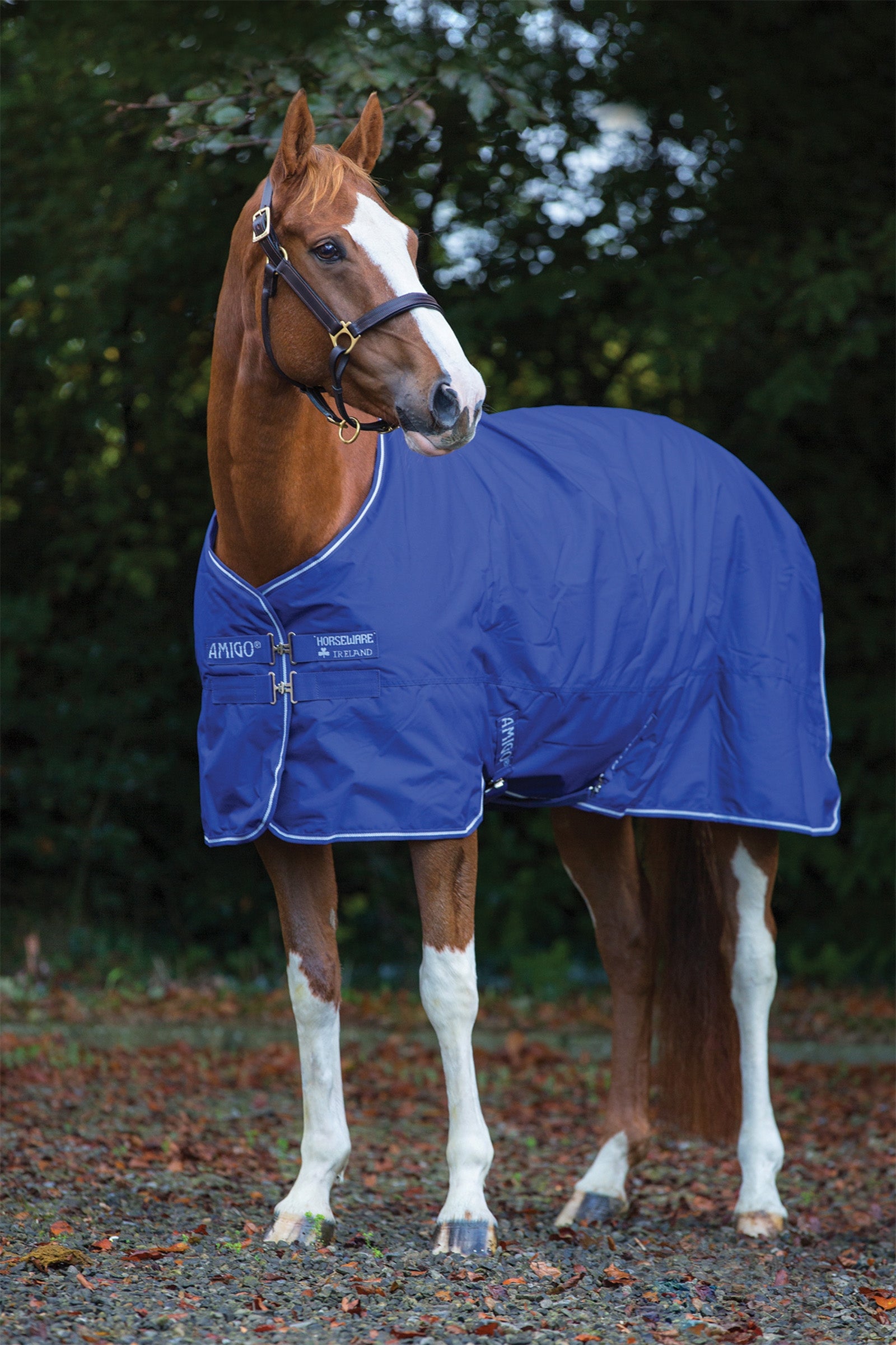 Horseware Amigo Hero 900 Plus Medium derka padokowa, 200g Derki