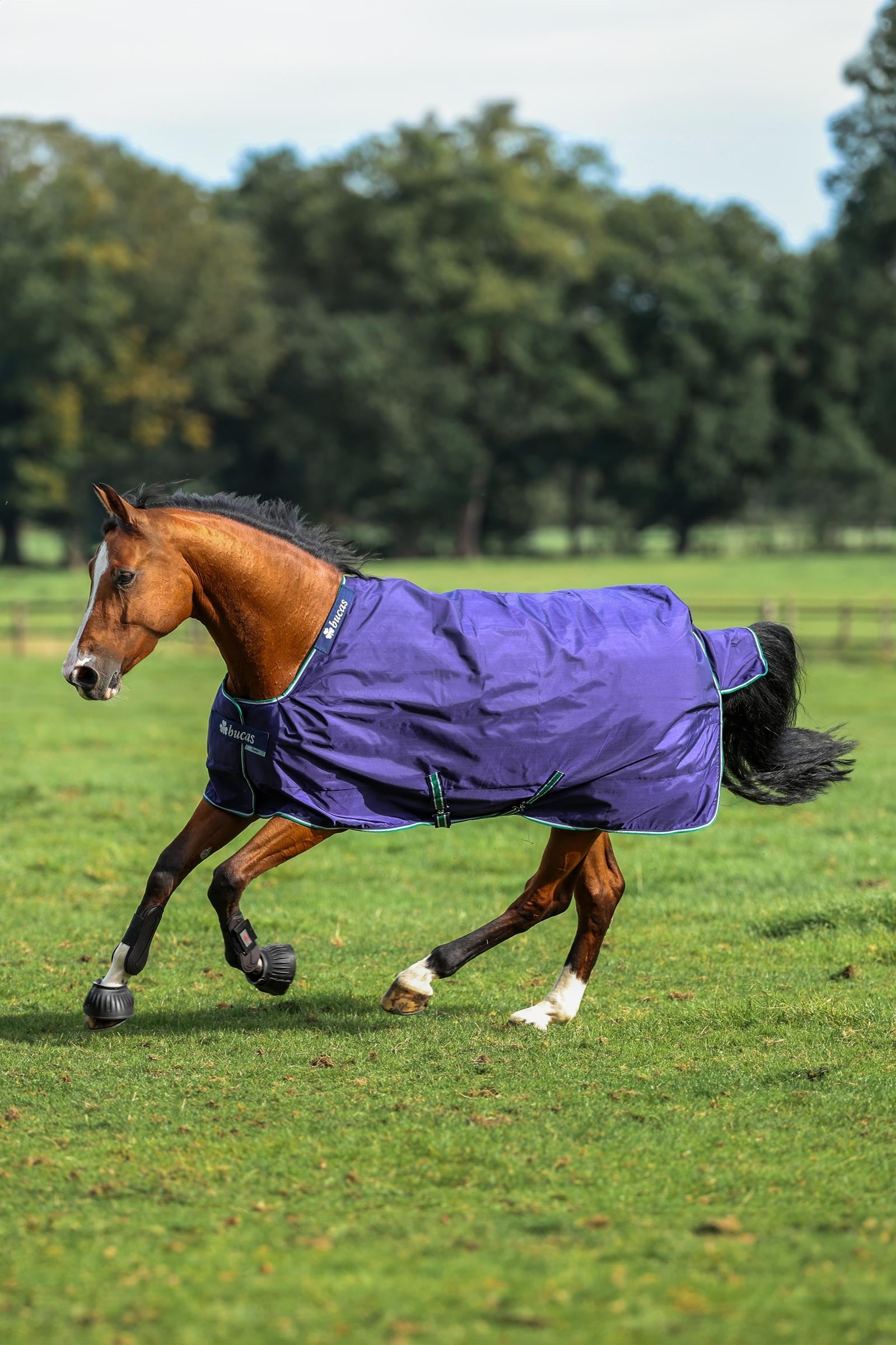 Bucas Smartex Rain Turnout Rug, 0g Horse Rugs