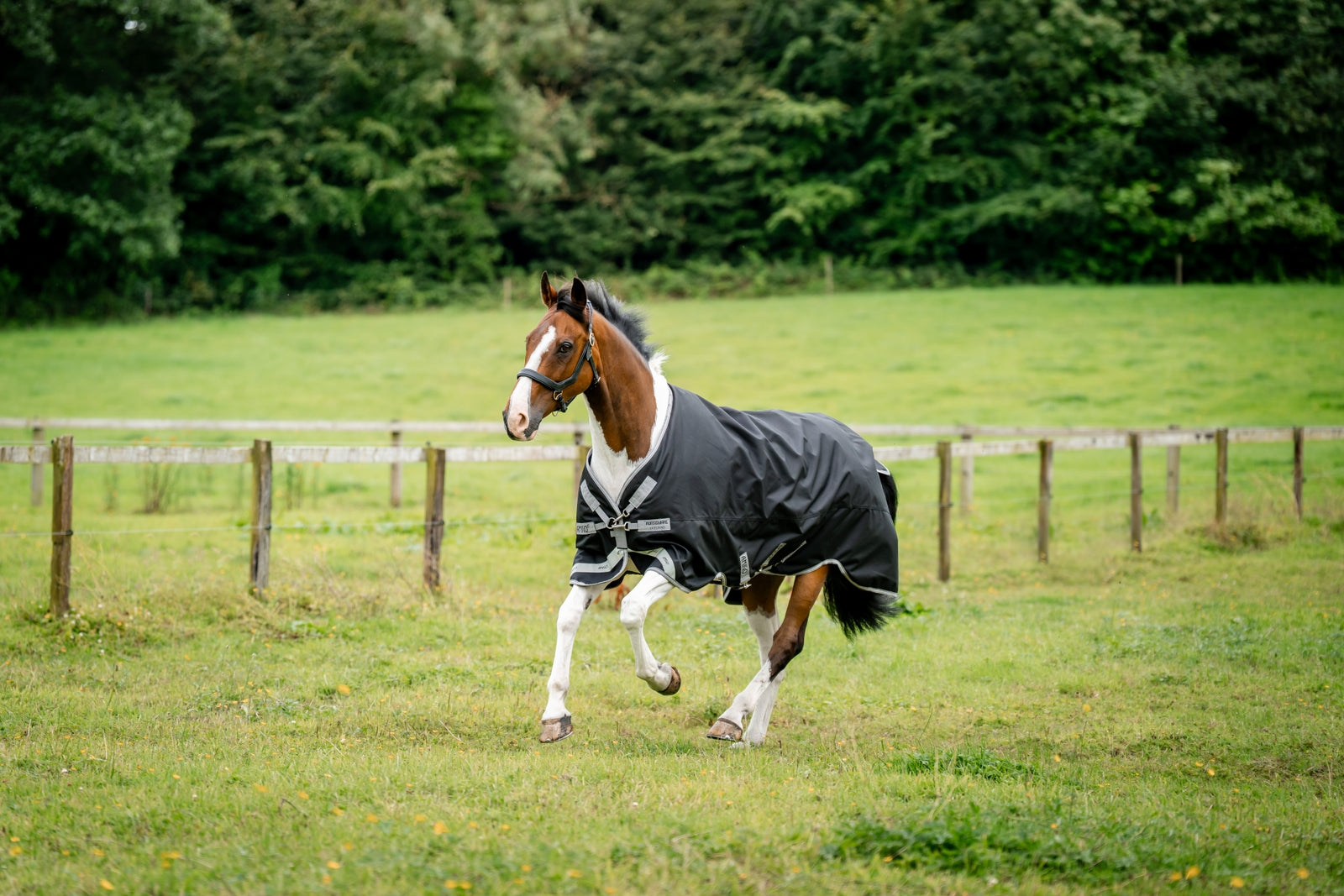Horseware Amigo 1200D Turnout Rug, 100 g Horse Rugs