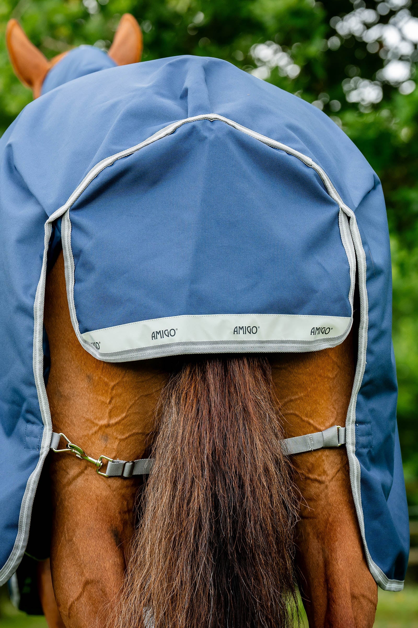 Horseware Amigo 1200D Turnout Rug, 100 g Horse Rugs