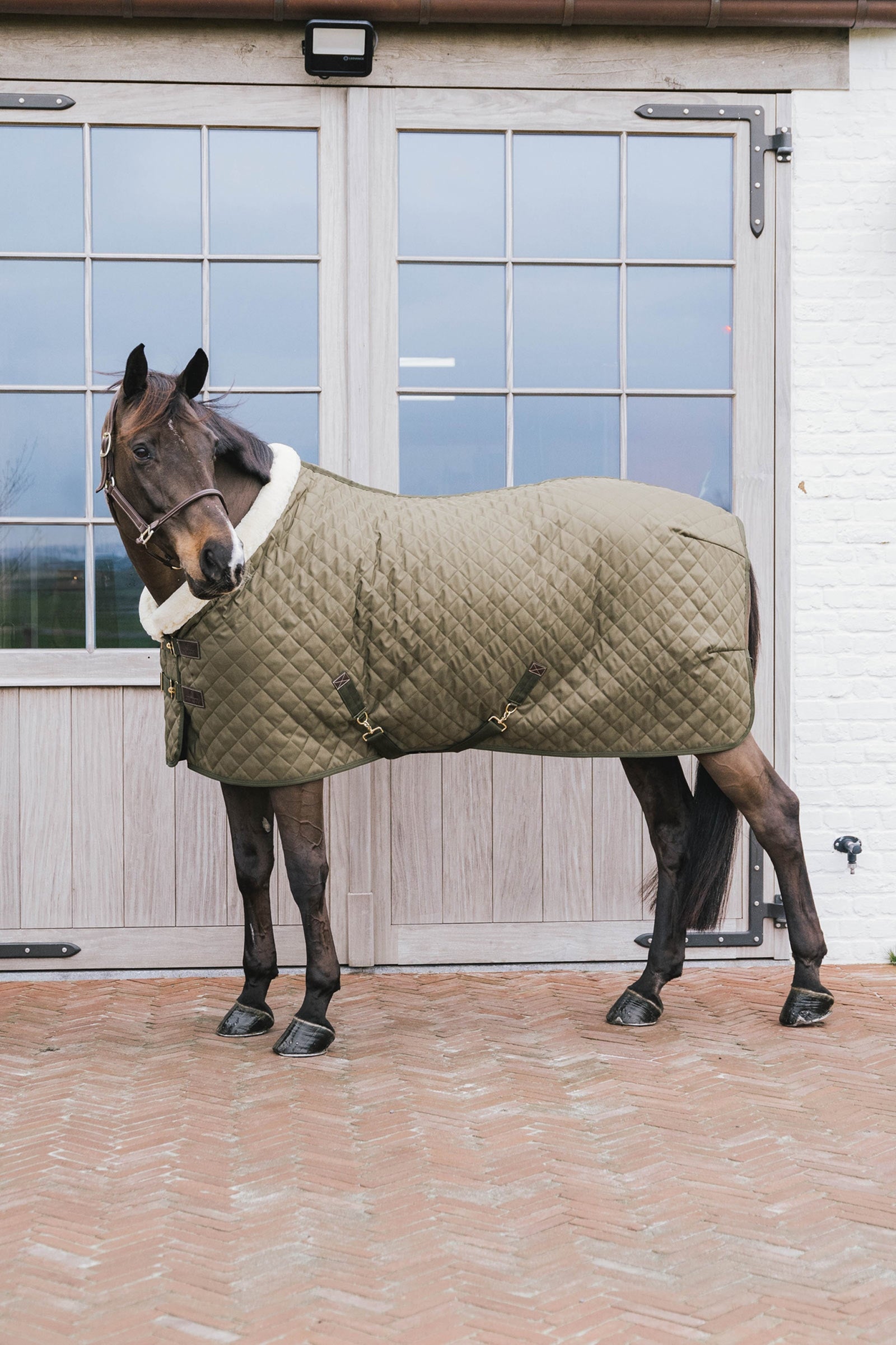 Kentucky Horsewear Show rug 160g Horse Rugs