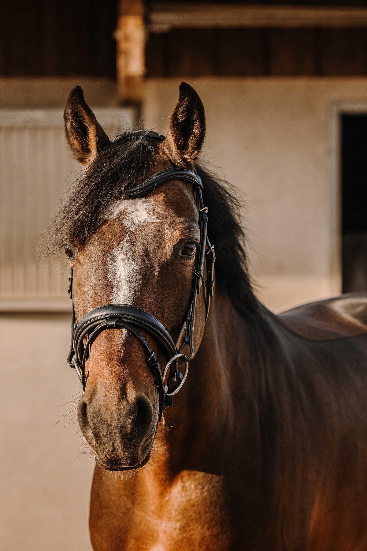 ERIC THOMAS Bat Bridle Bridles & Reins