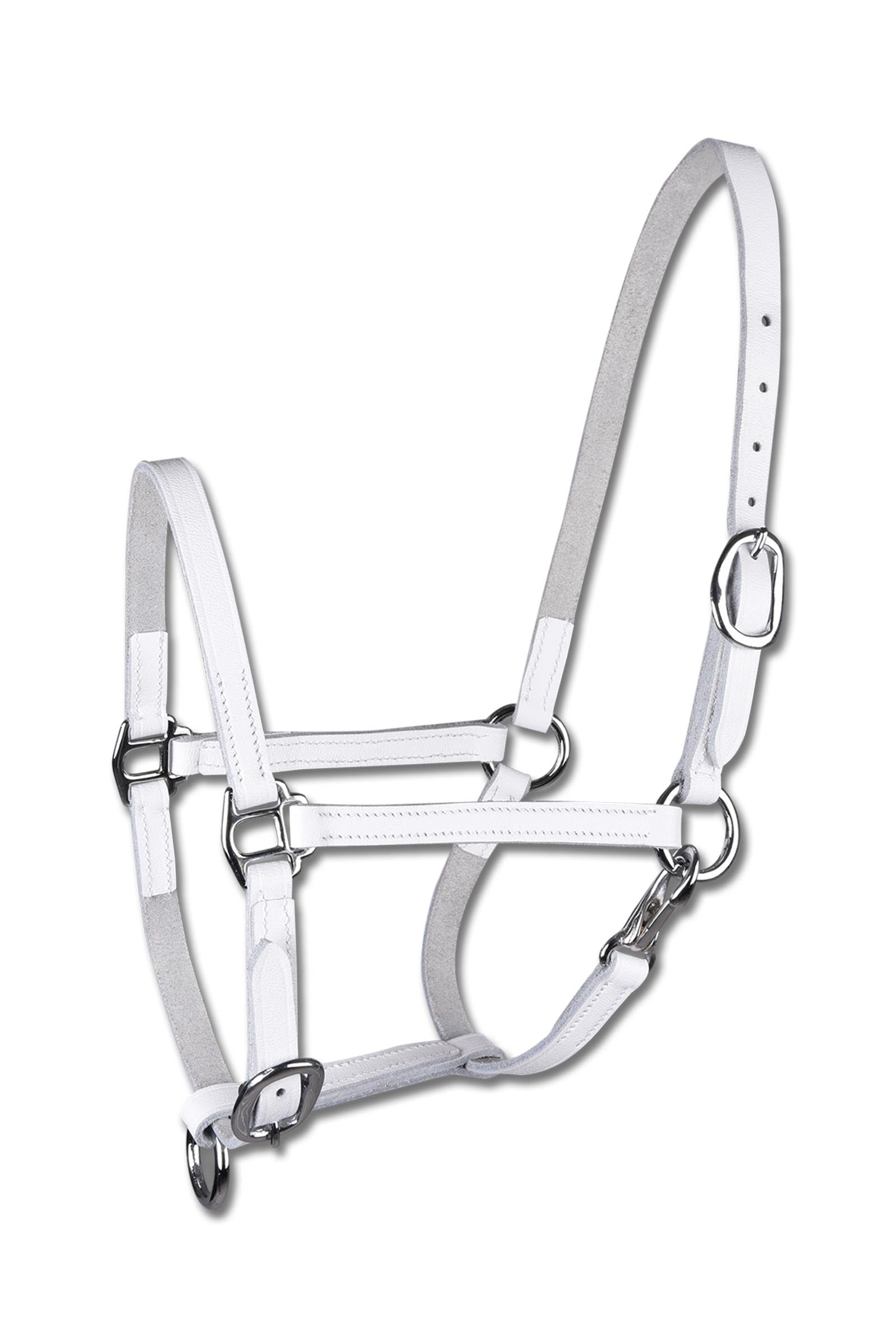 Star Foal Leather Show Halter Halters & Leads