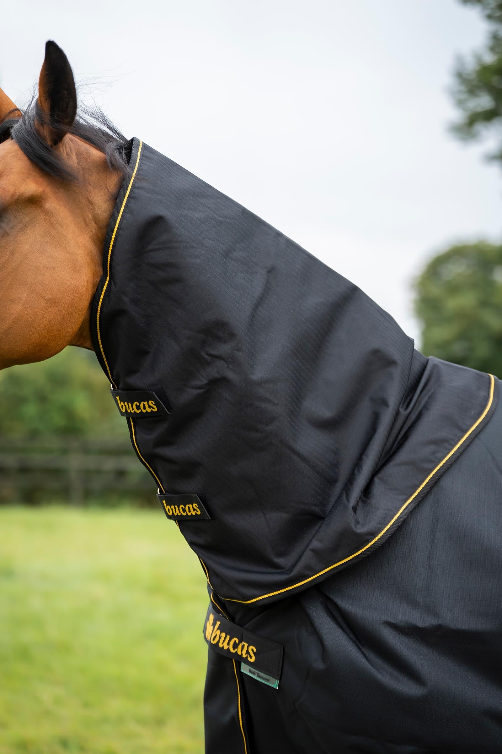 Bucas Irish Turnout 50 g Rug & Neck Horse Rugs