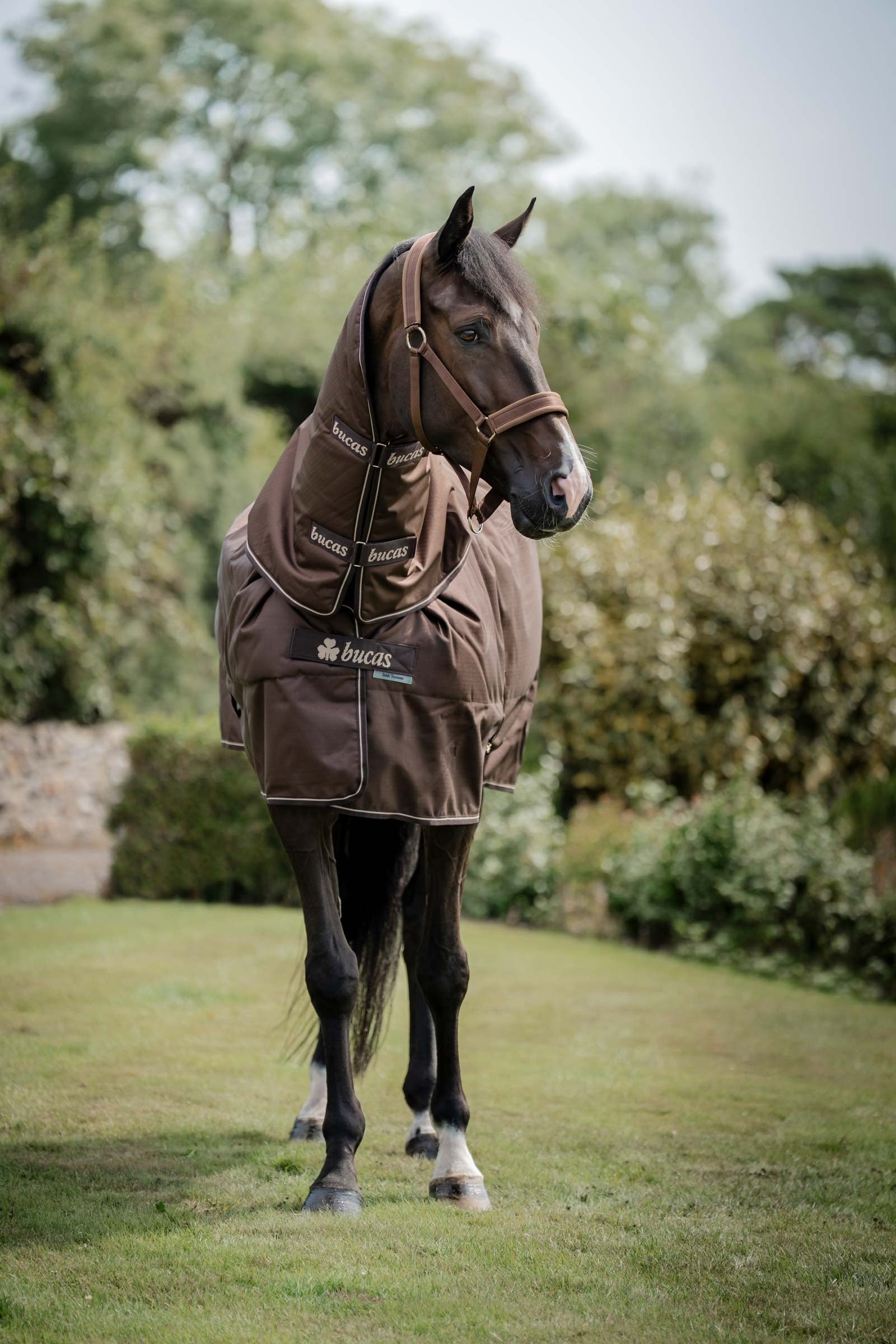 Bucas Irish Turnout 50 g Rug & Neck Derki