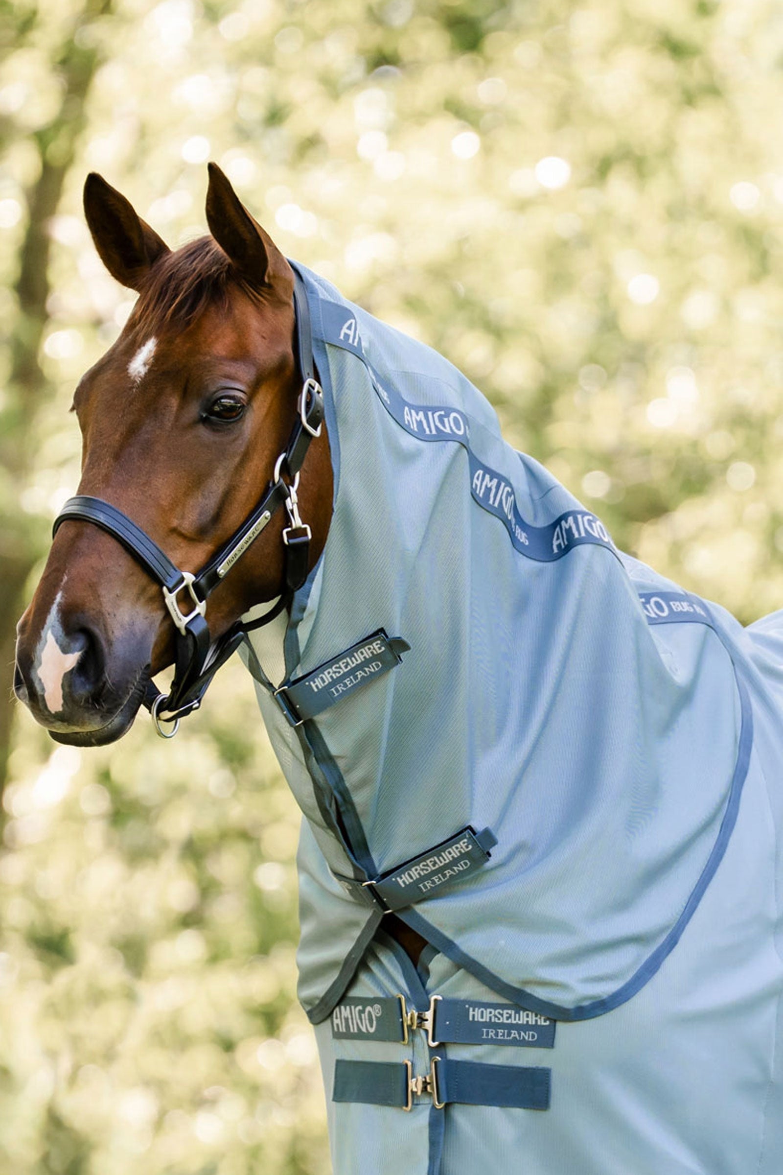 Horseware Amigo osłona szyi do derki przeciw owadom, ochrona UV Derki