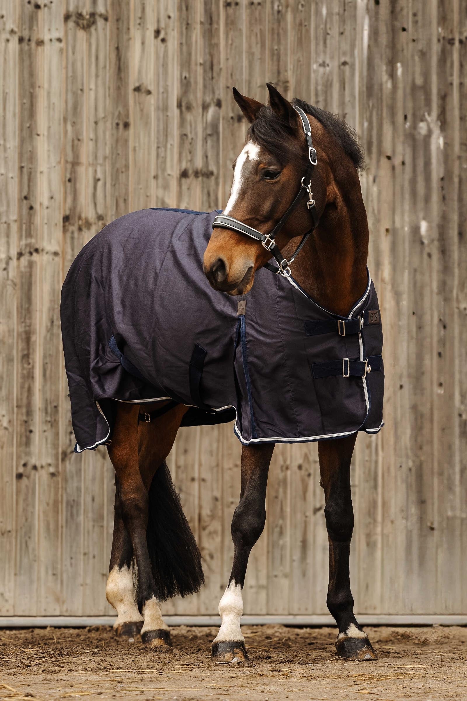 EQUITHÈME Wave Sheet Horse Rugs