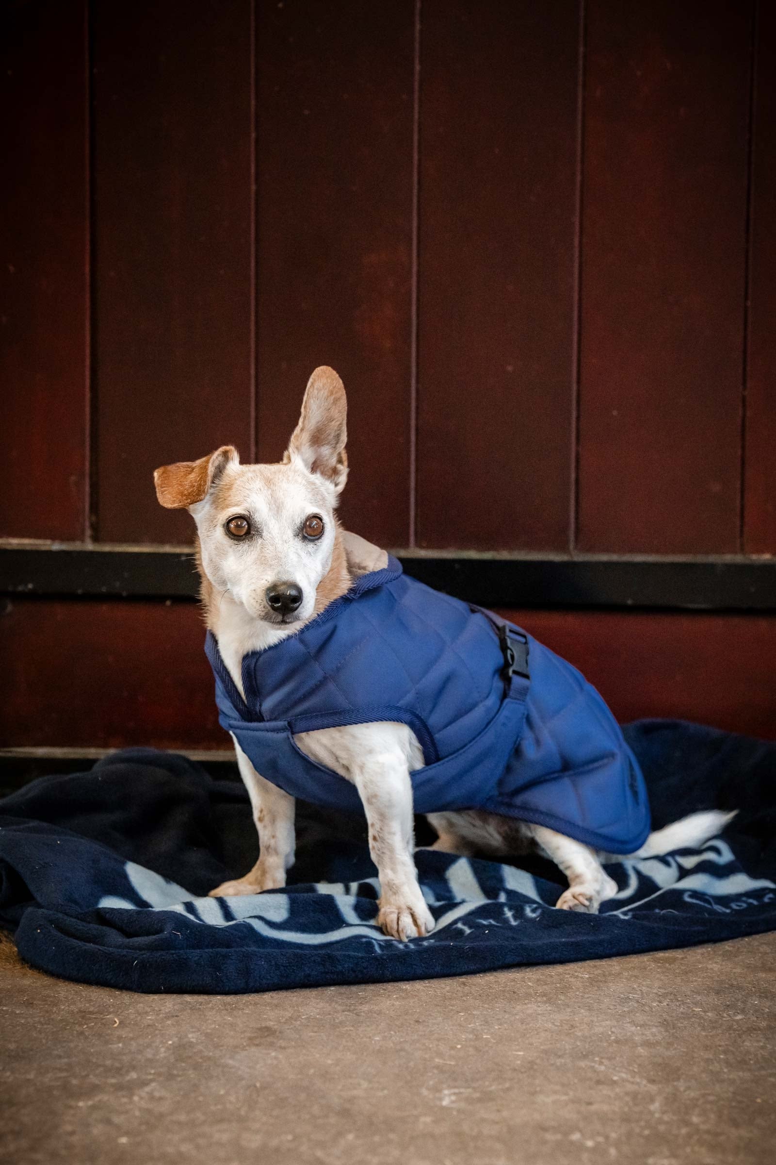 Bucas Cosy Dog Rug Pies