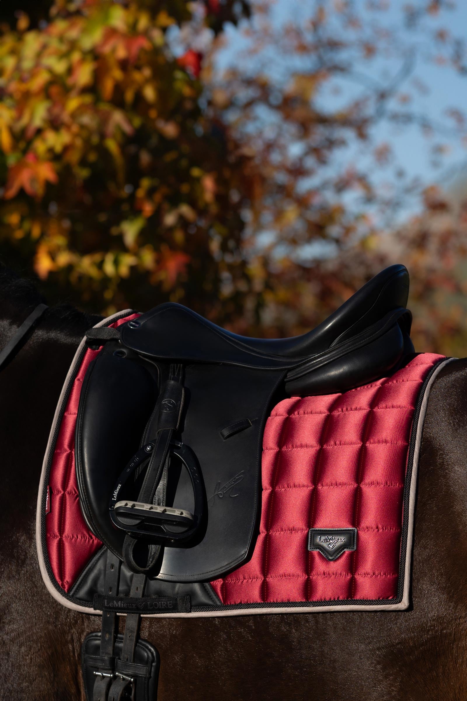 LeMieux Loire Classic Square Dressage Saddle Pad Saddle Pads