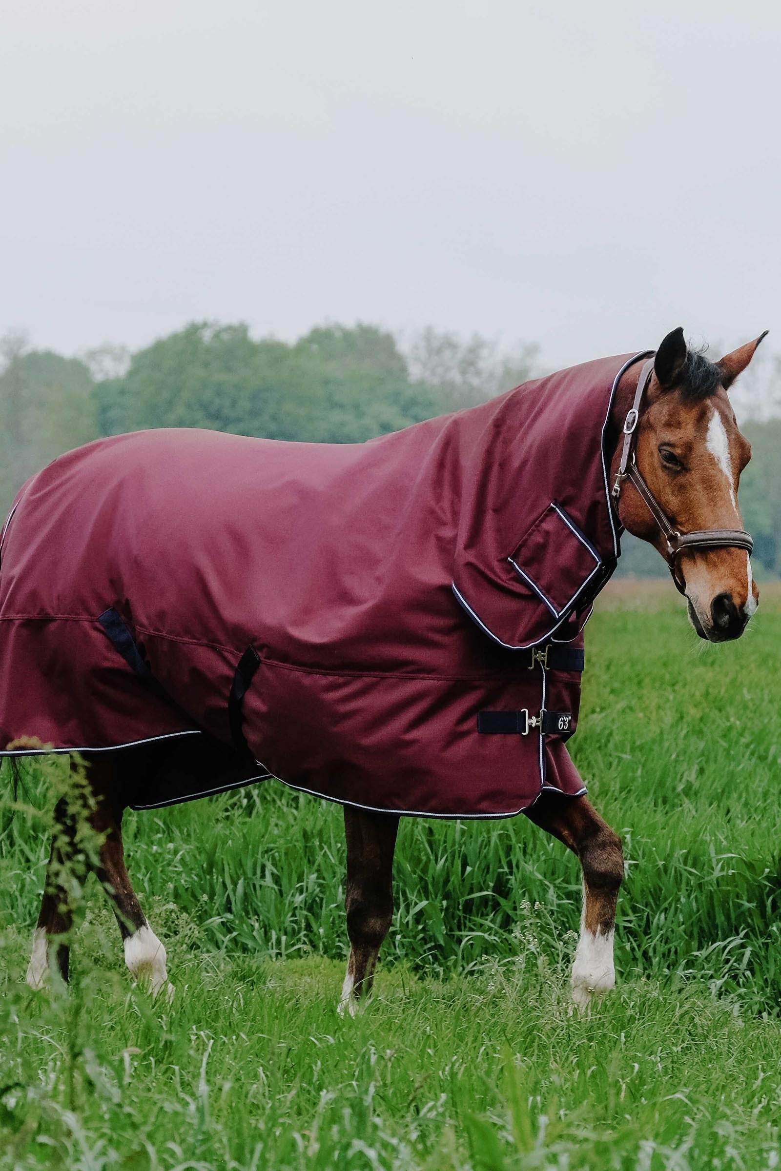 Equi Theme EQUITHÈME TYREX 1200D Combo Rug, 0 g Horse Rugs