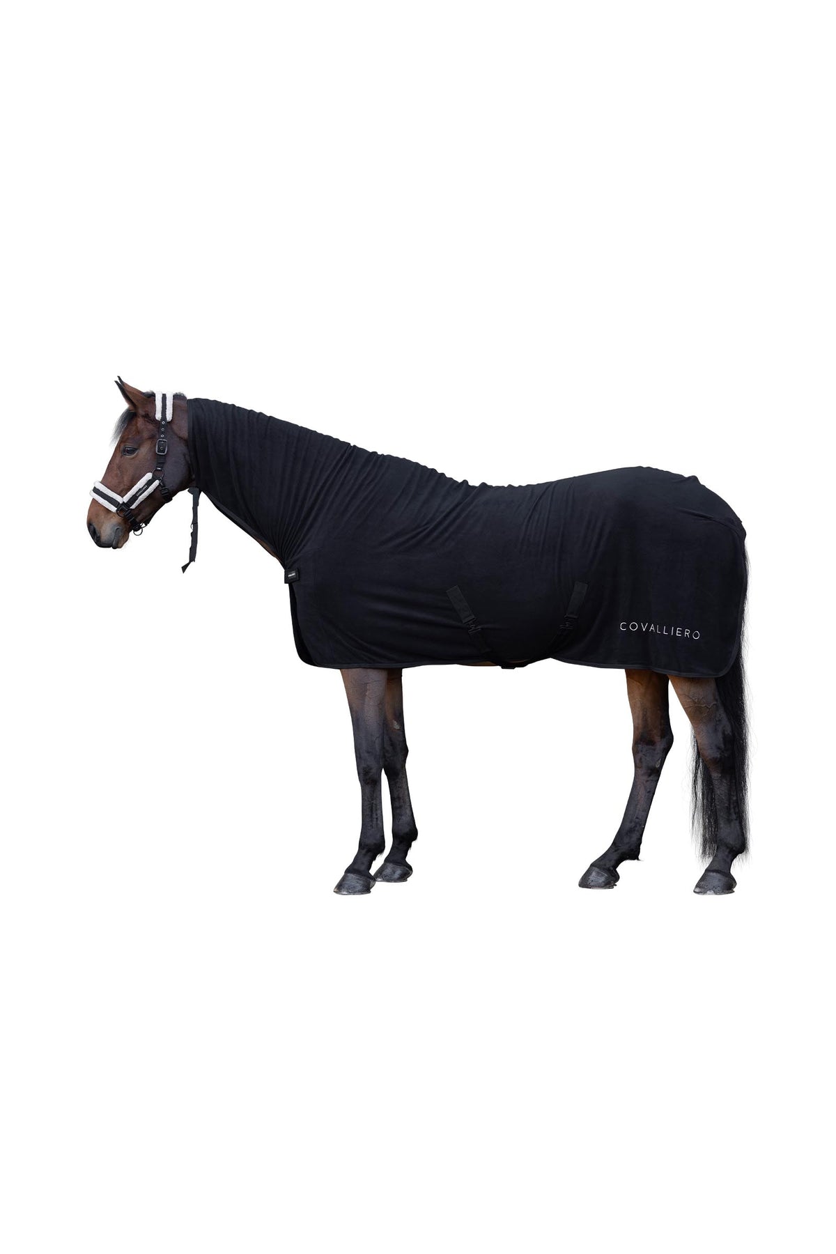 Covalliero FW26 Cooler Rug Horse Rugs