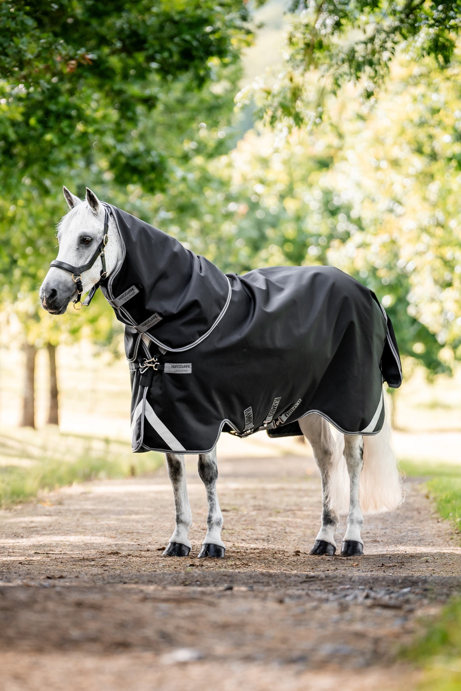 Horseware Rambo 1680D Plus Turnout Rug, 100 g Horse Rugs