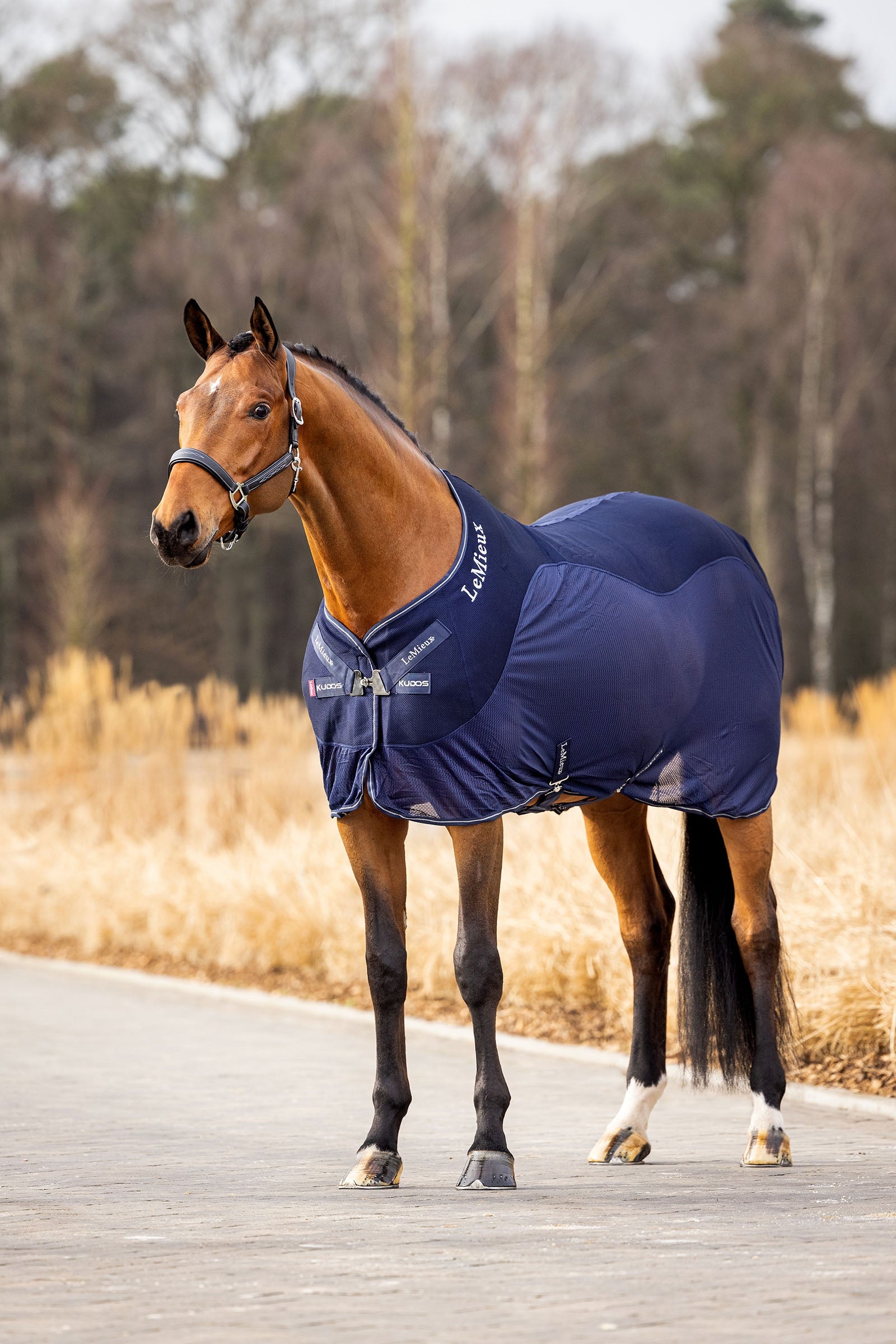 LeMieux Kudos Mesh Sports Cooler Rug Horse Rugs