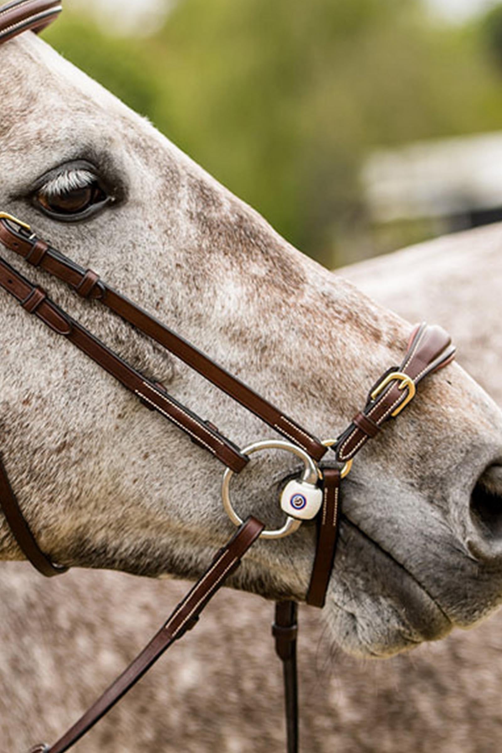 Trust Equestrian Barcelona Adjustable Drop Noseband Bridle Bridles & Reins