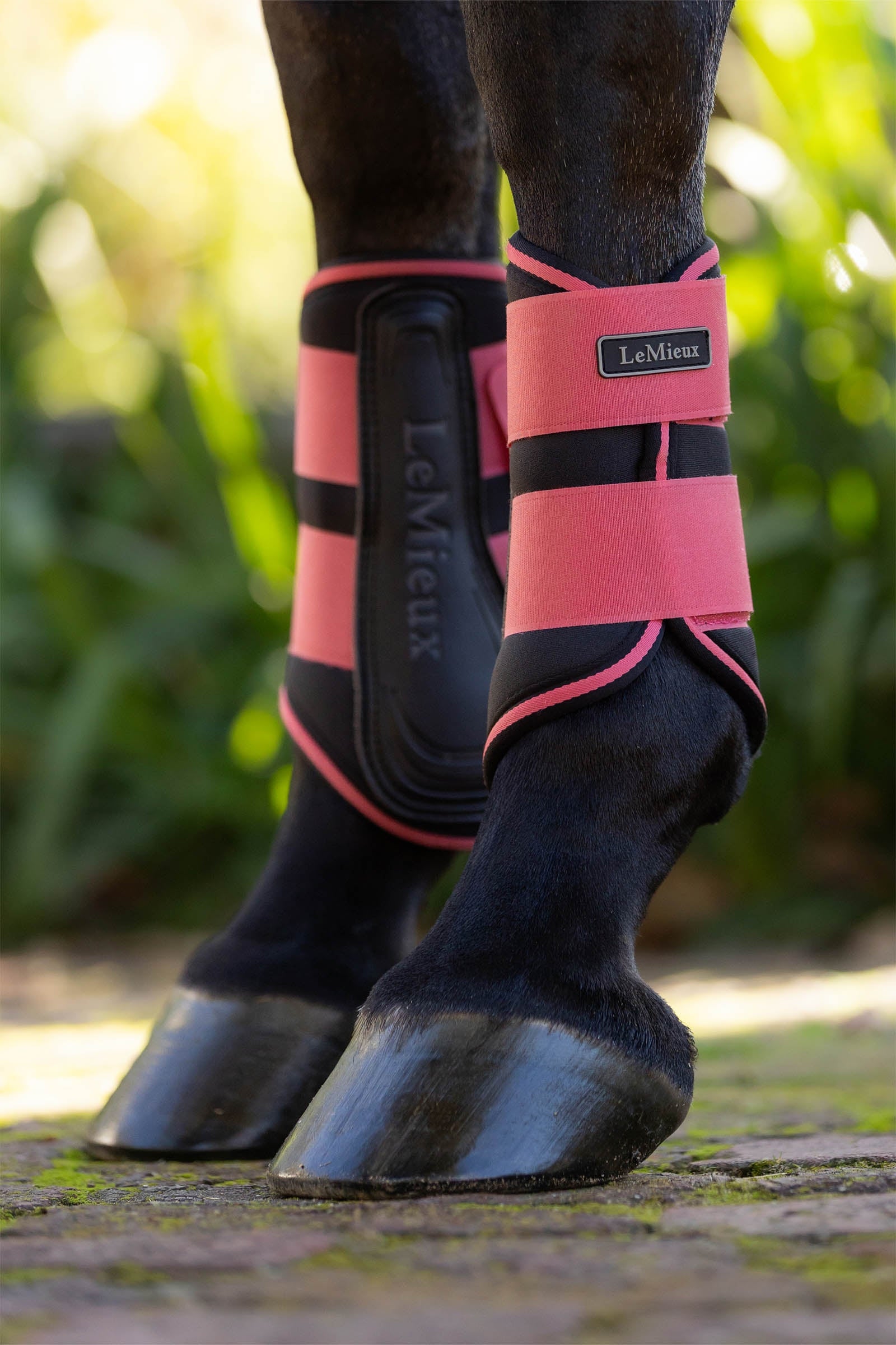 LeMieux Grafter Brushing Boots Leg Protection & Hoof Protection for Horses