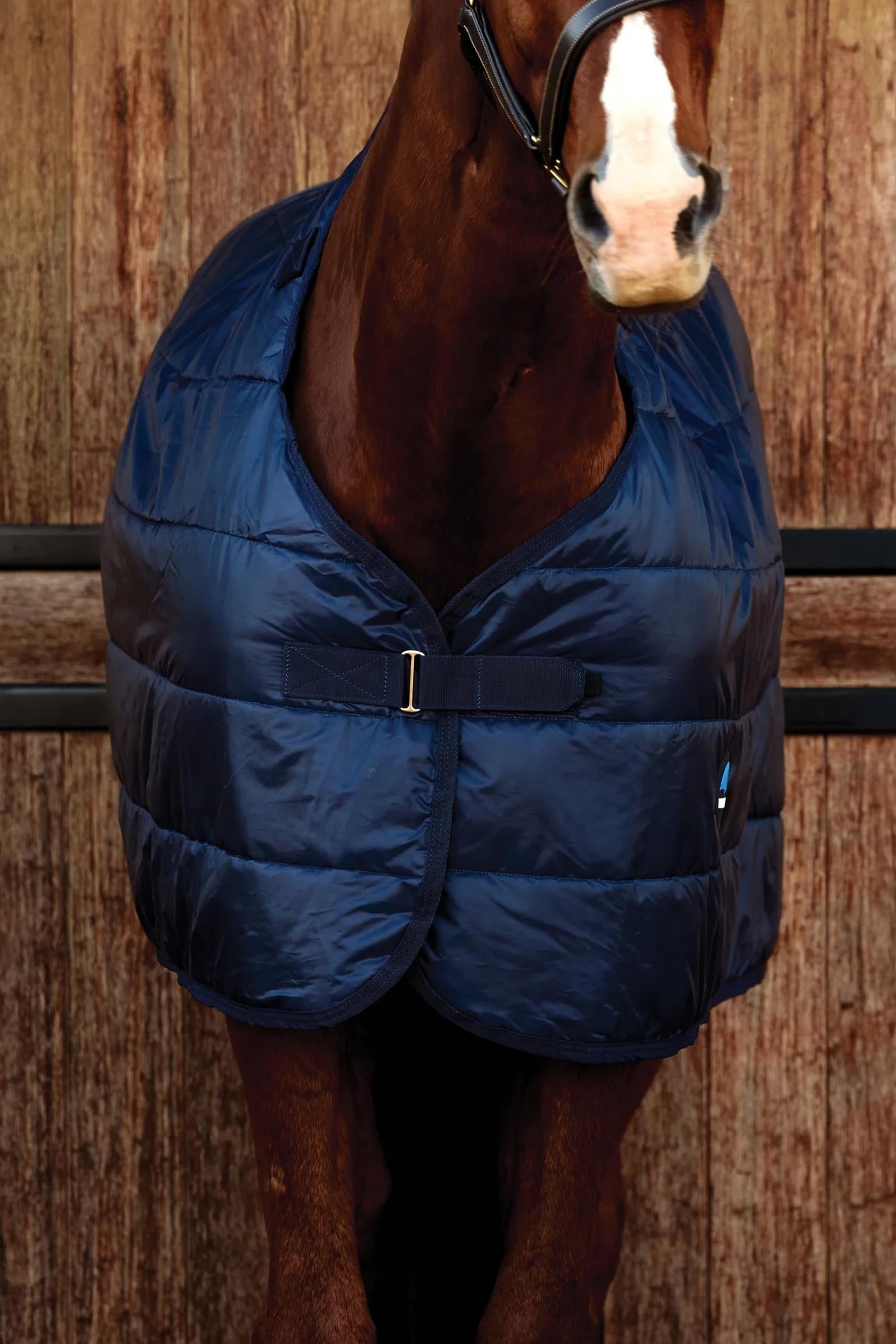 Weatherbeeta ComFiTec Liner 100G Horse Rugs