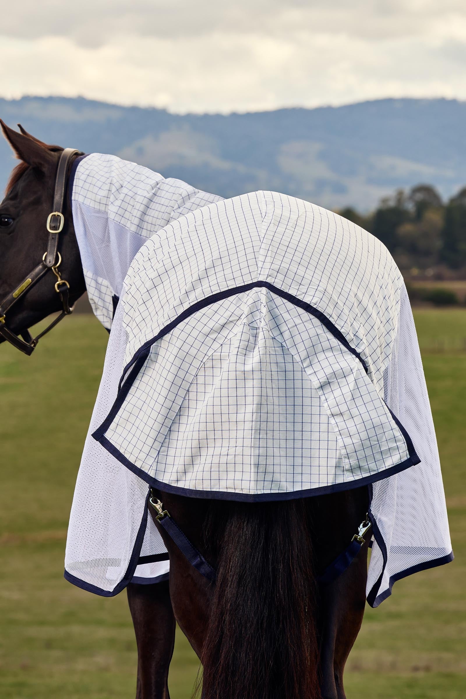 Lifestyle shot 6