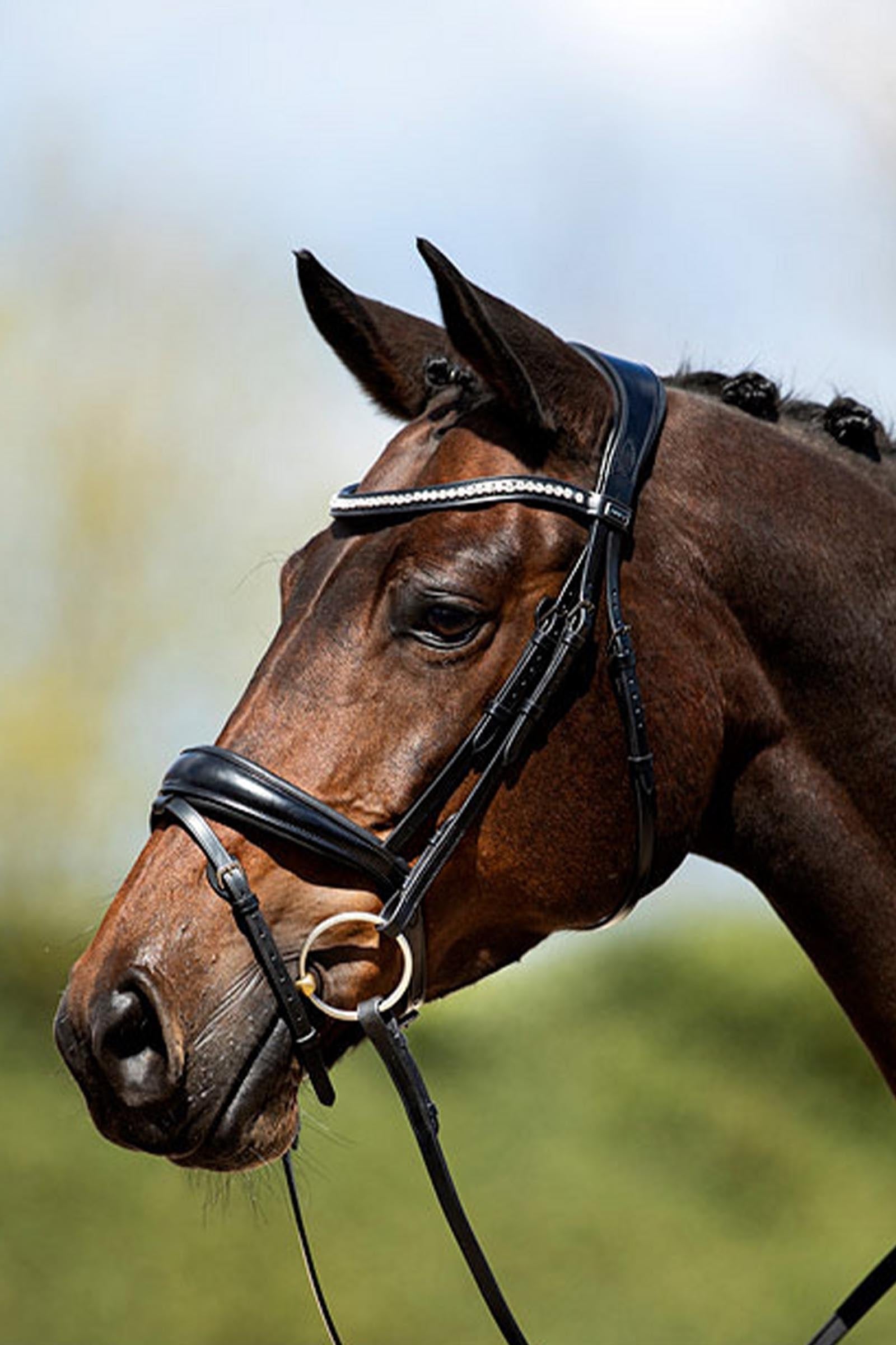 Anky ANKY Anatomic Bridle With Flash Noseband, Padded Bridles & Reins