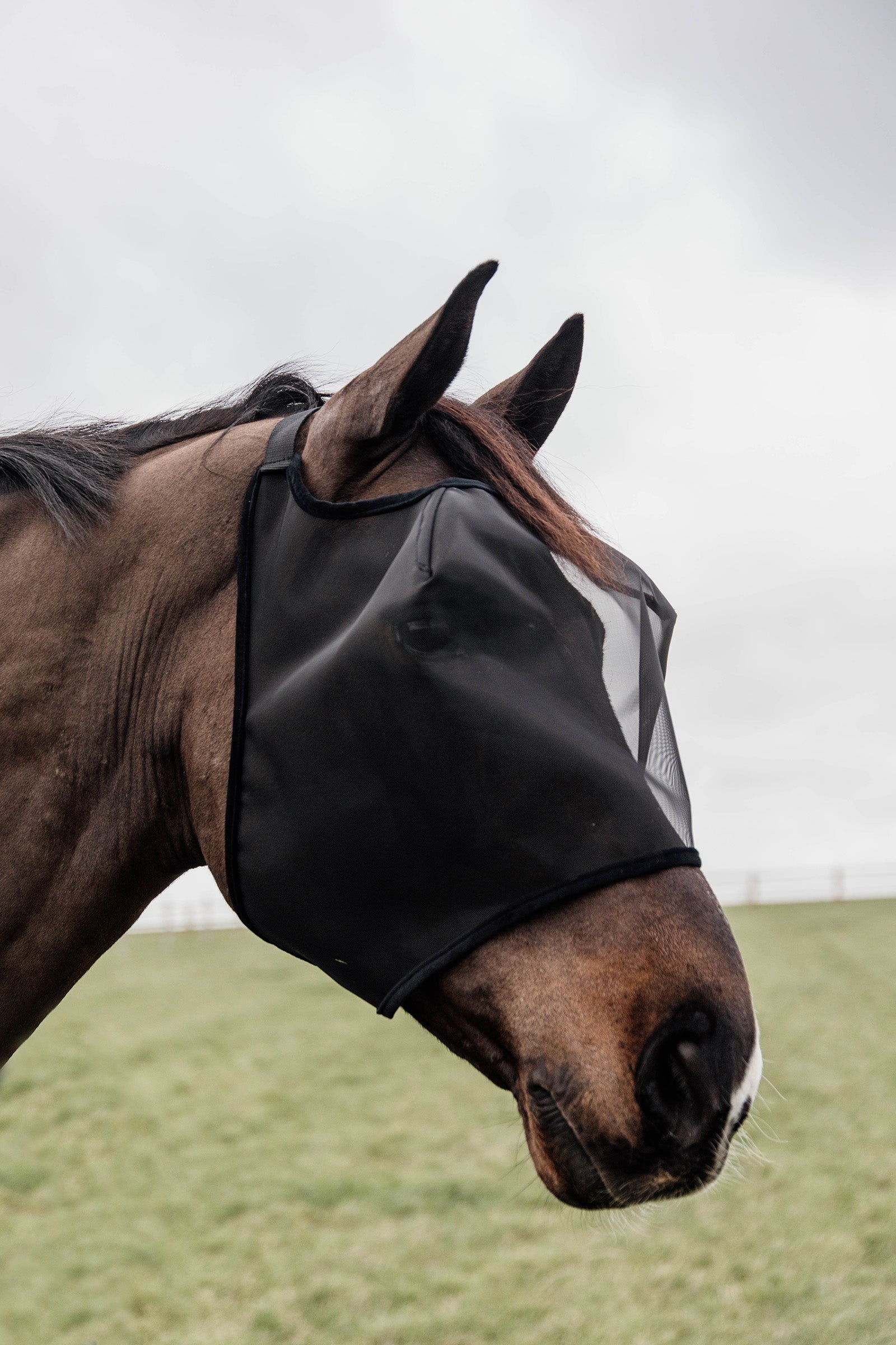Kentucky Horsewear Classic  Fly Mask without Ears Antifly Protection for Horses