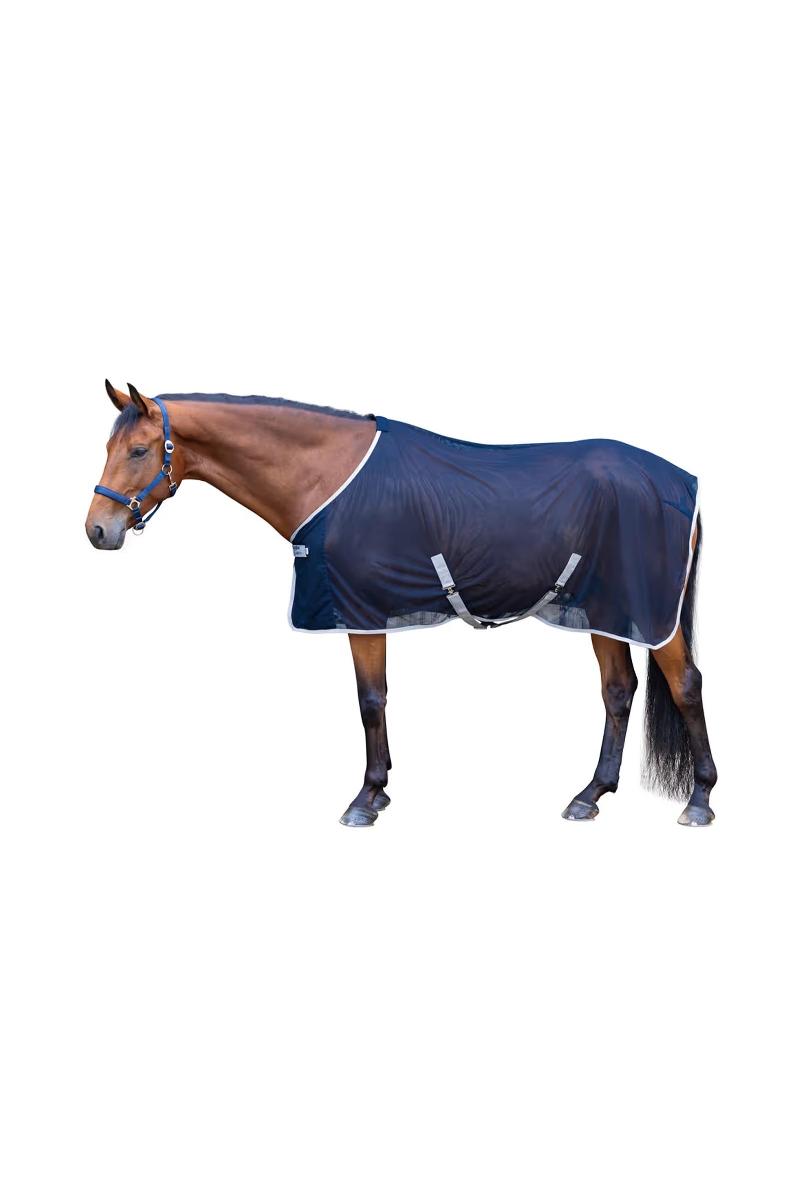 Covalliero RugBe Fly Blanket Horse Rugs