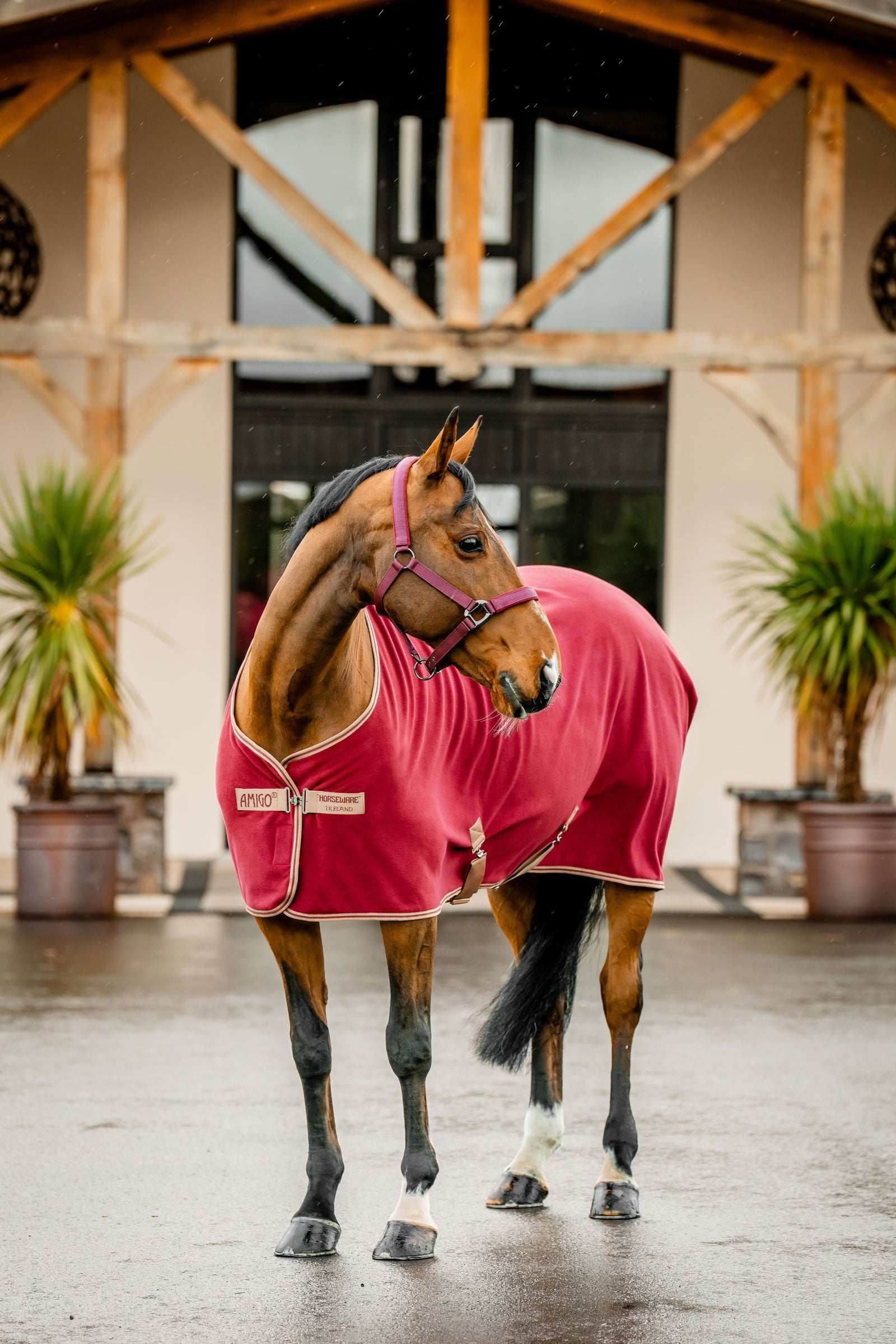 Horseware Amigo Derka Polarowa Derki