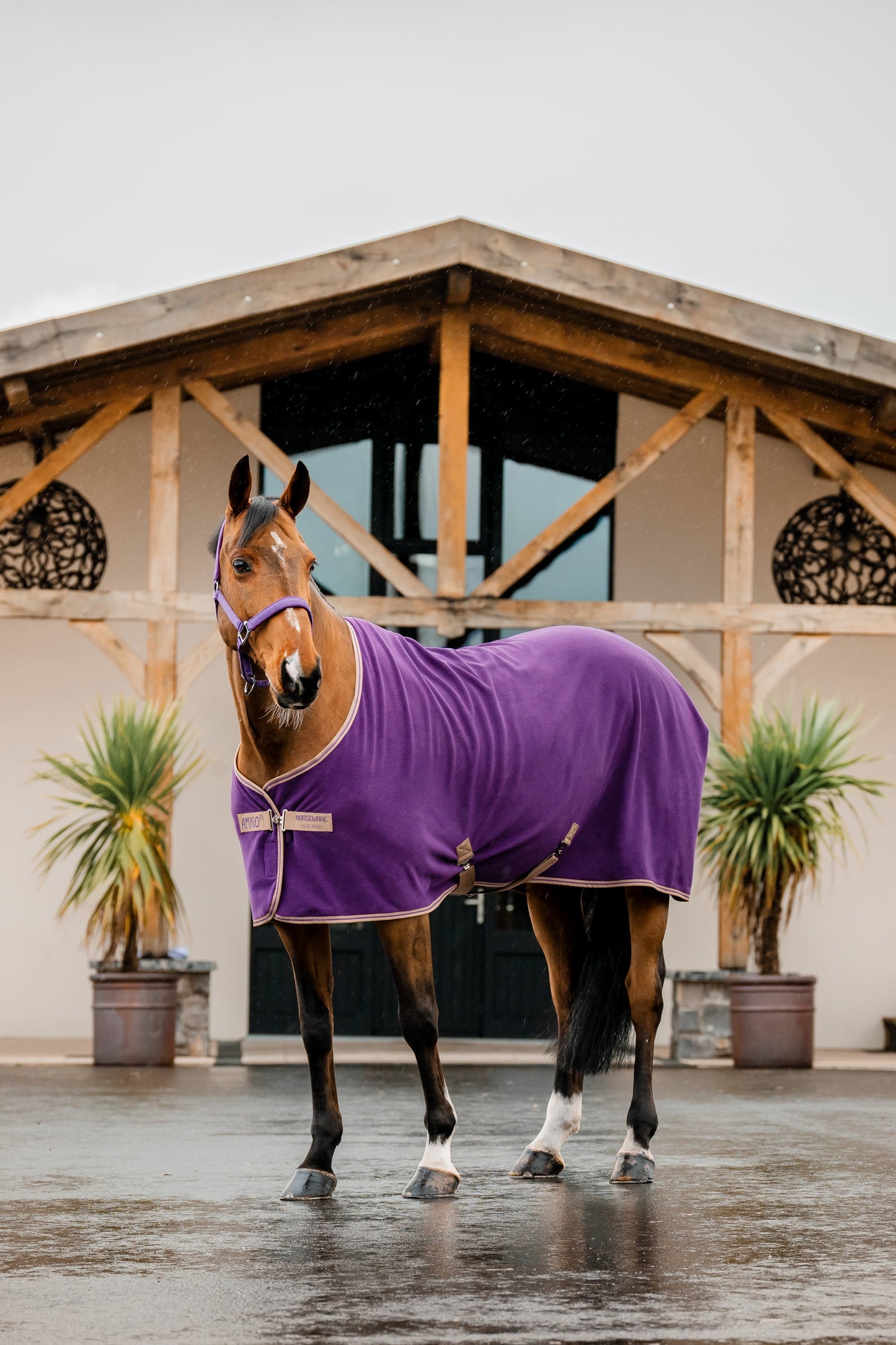 Horseware Amigo Derka Polarowa Derki