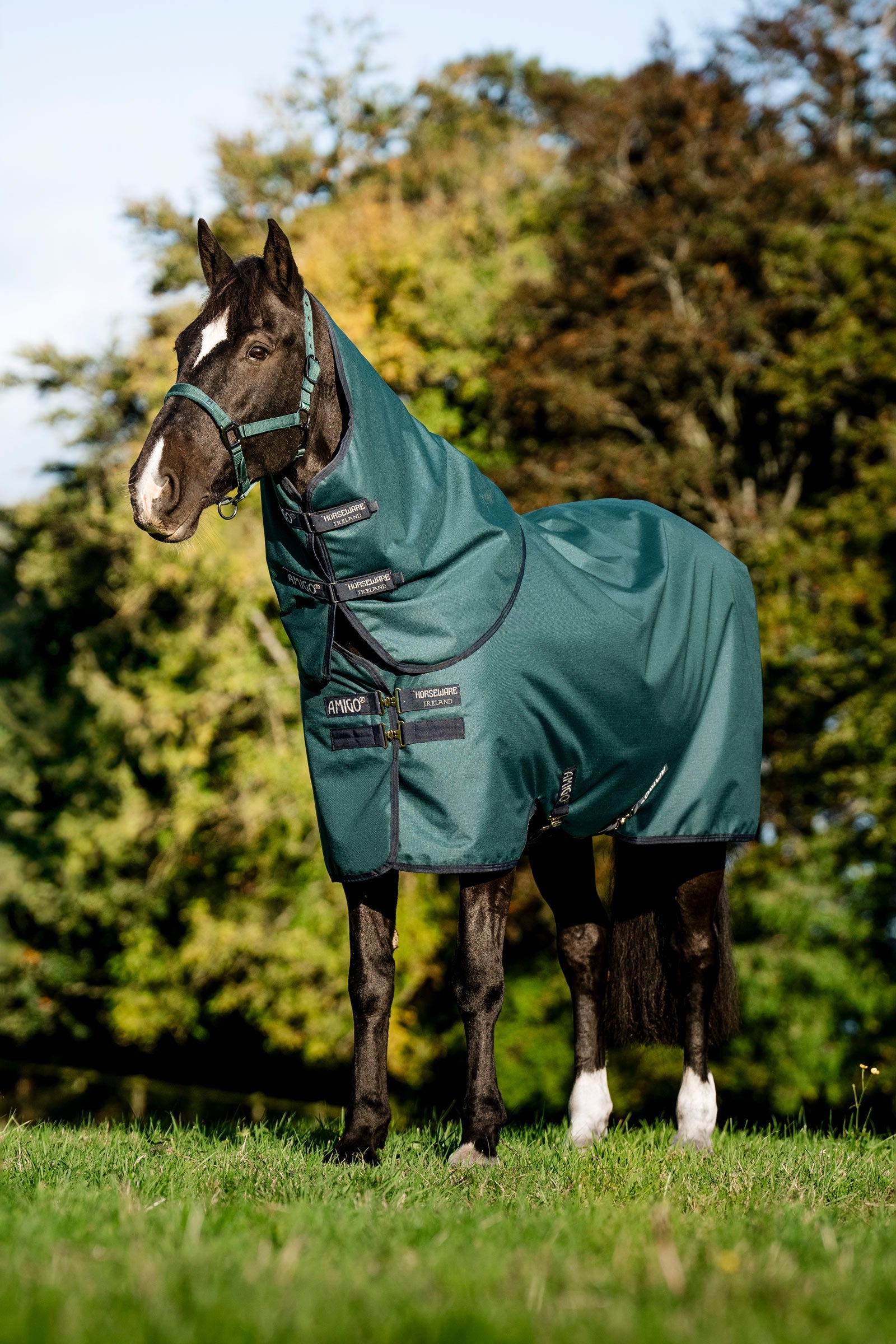 Horseware Amigo Ripstop 900D Plus derka padokowa dla kuców, 0 g Derki