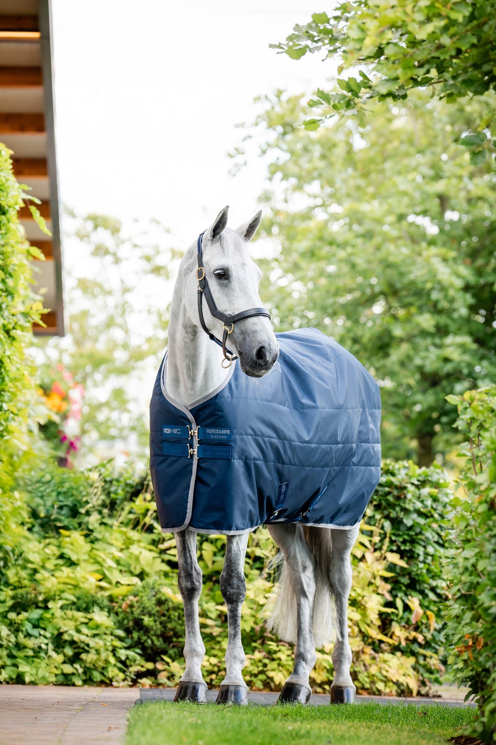 Horseware Ionic Therapy Derka stajenna, 50g Derki