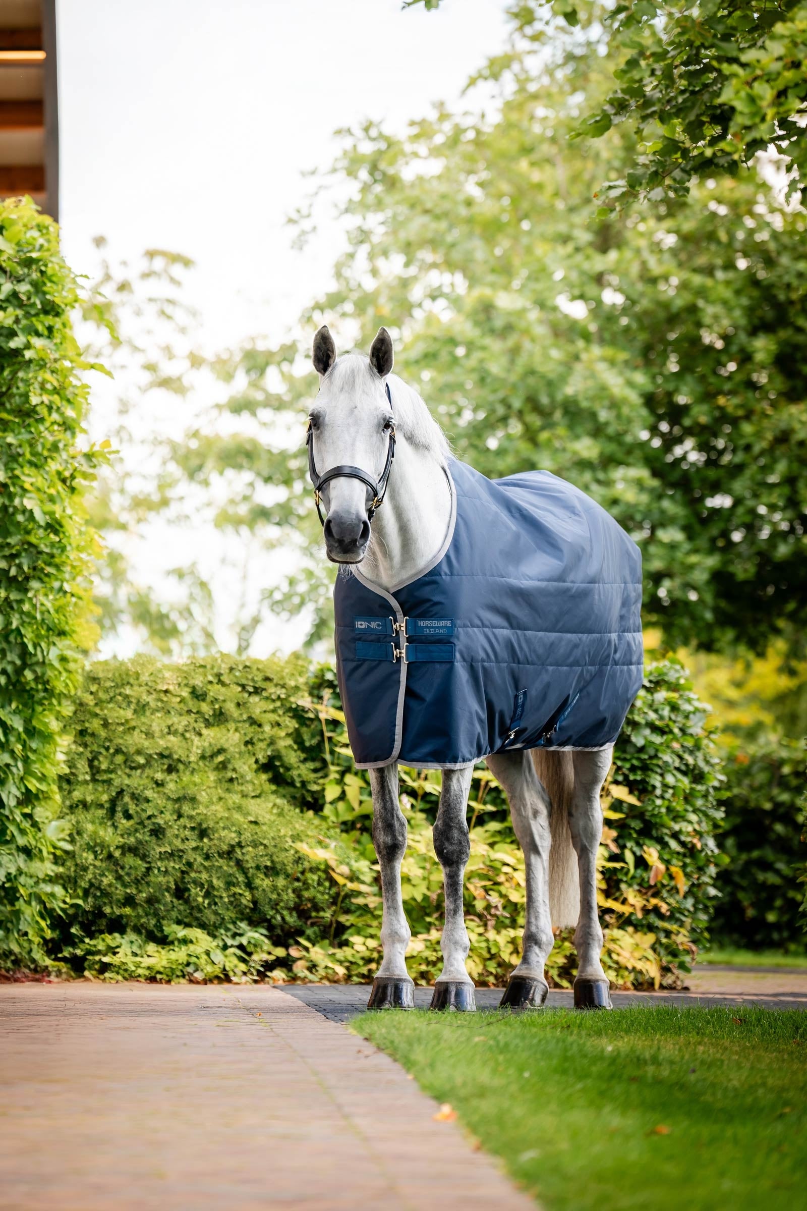 Horseware Ionic Therapy Stable Rug, 50g Horse Rugs